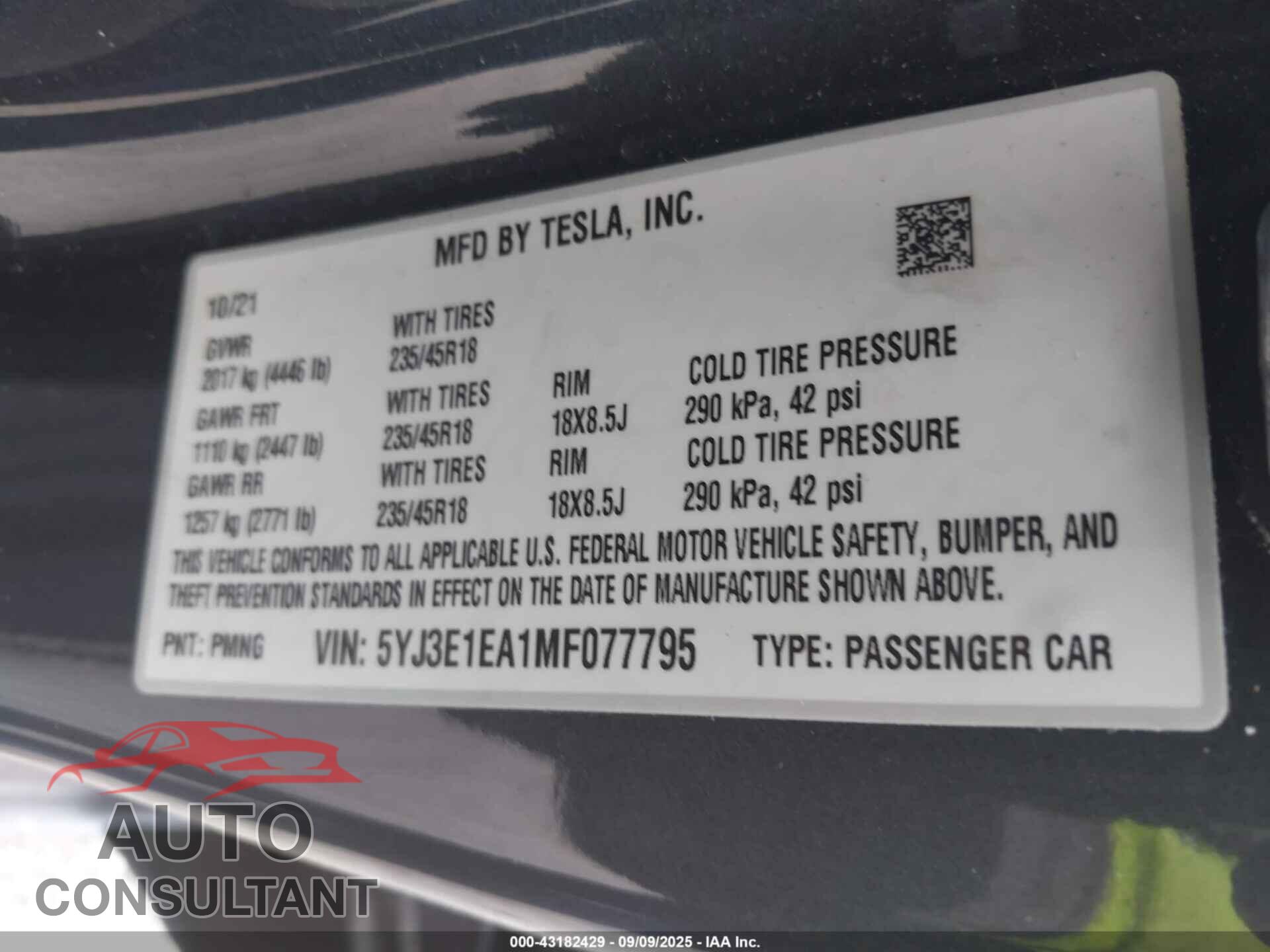 TESLA MODEL 3 2021 - 5YJ3E1EA1MF077795