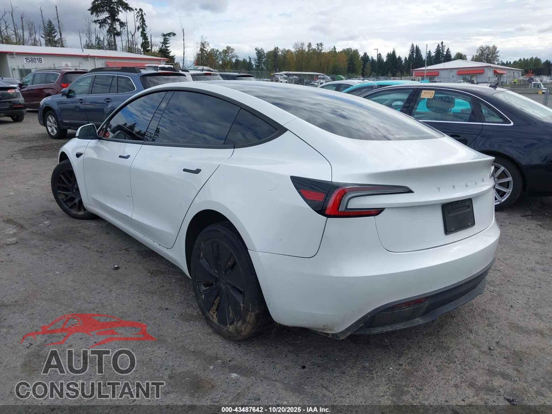 TESLA MODEL 3 2024 - 5YJ3E1EAXRF831624
