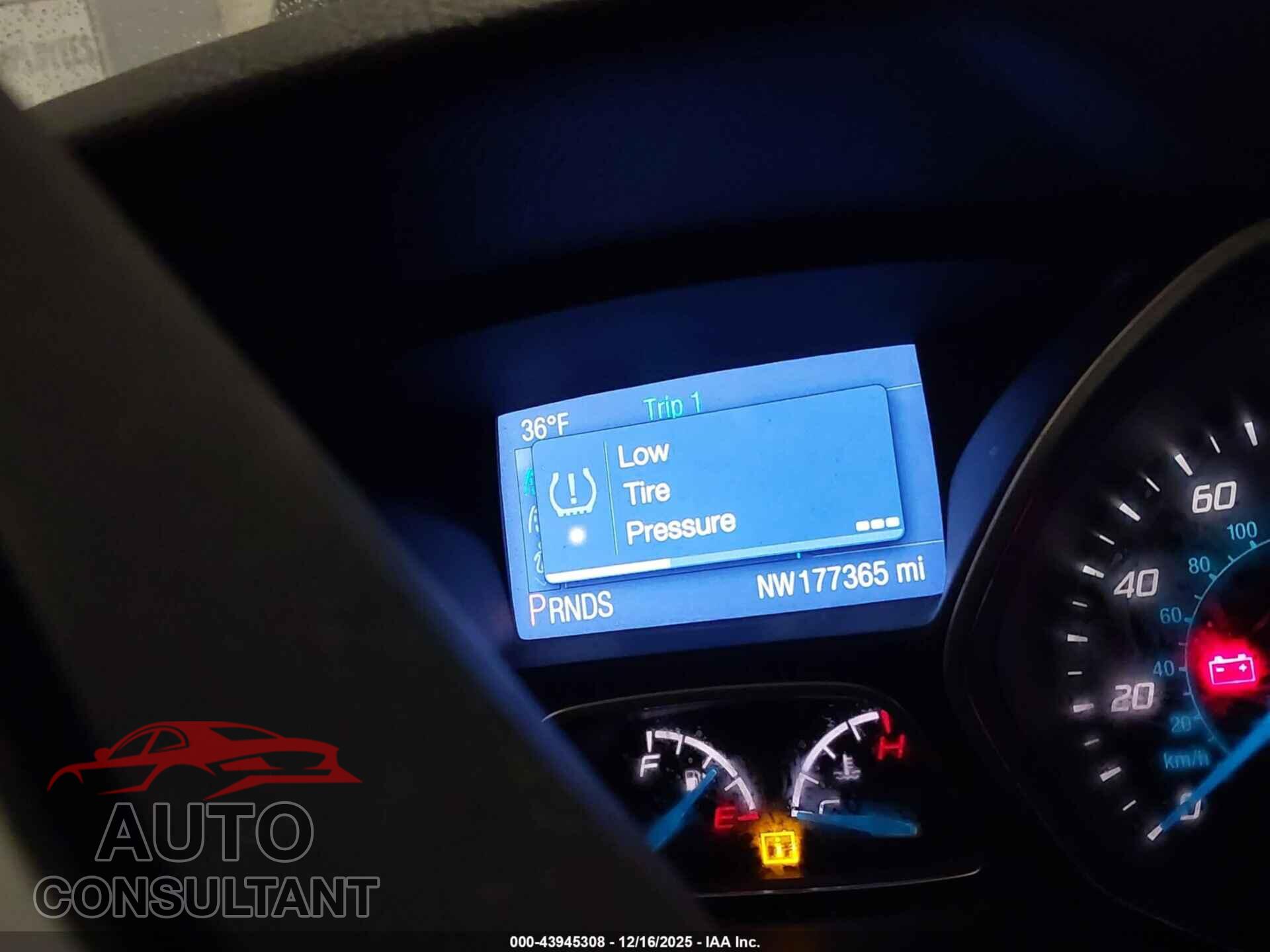 FORD FOCUS 2014 - 1FADP3K29EL131520