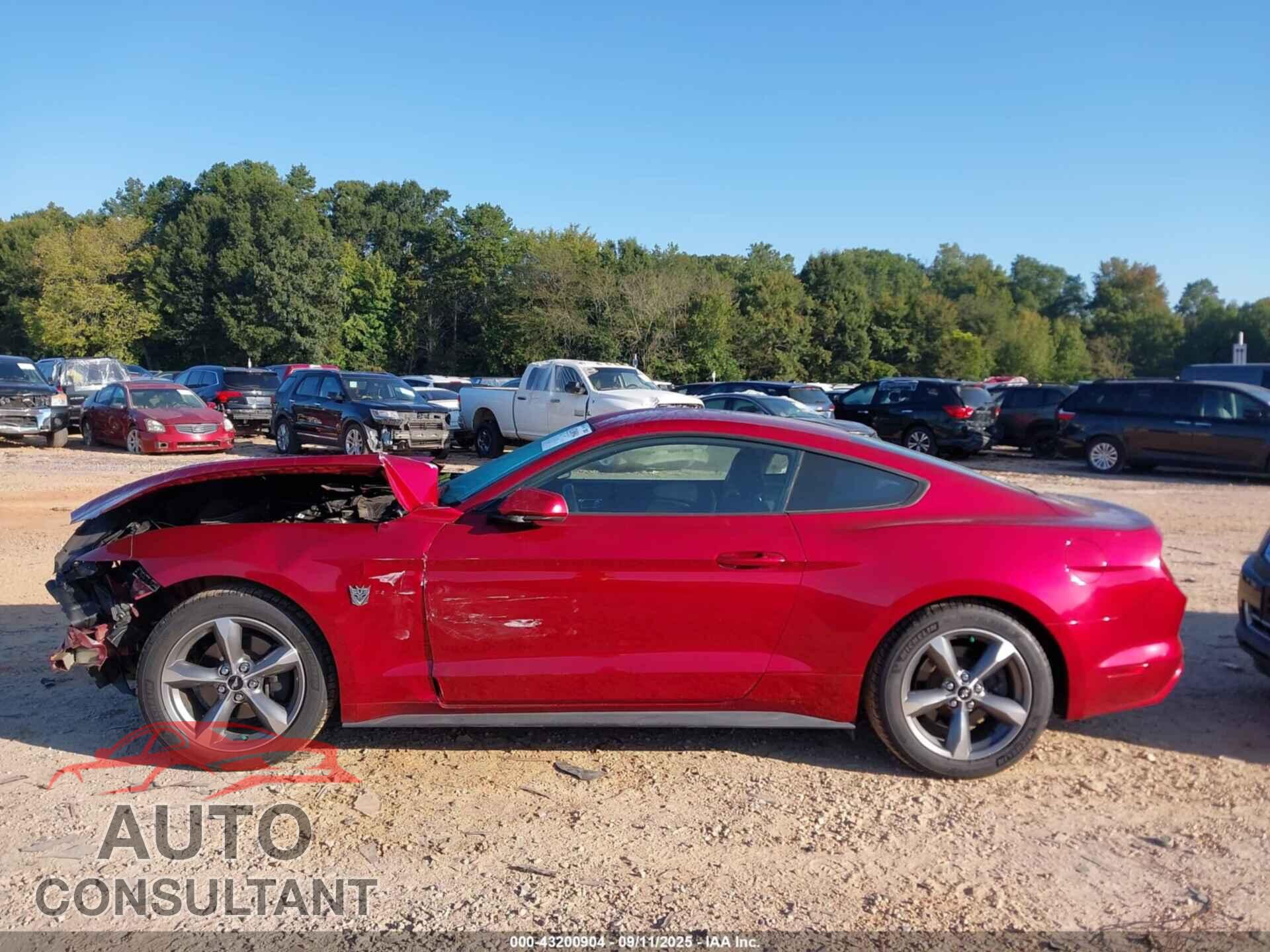 FORD MUSTANG 2016 - 1FA6P8AM3G5284152