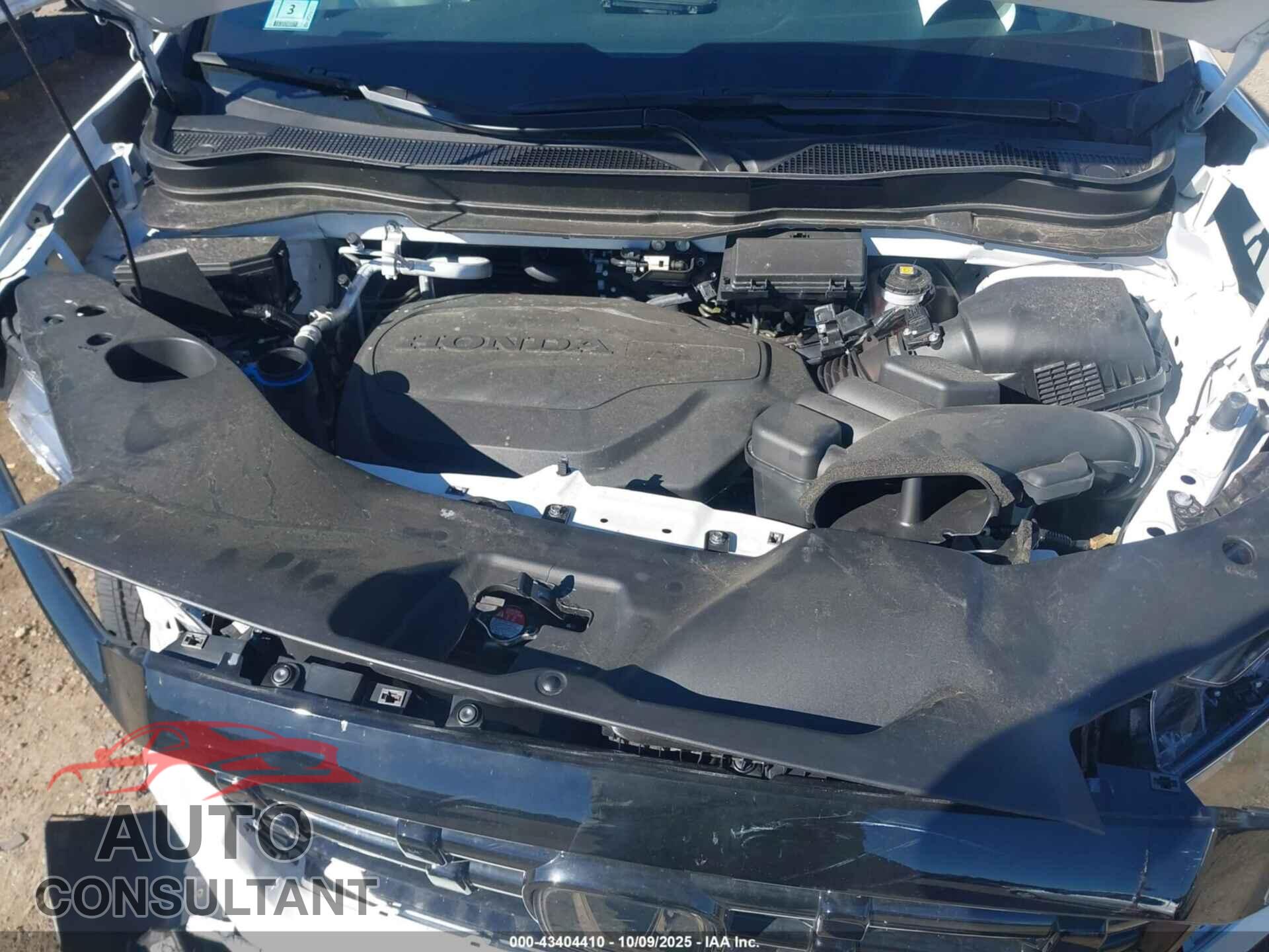 HONDA RIDGELINE 2024 - 5FPYK3F84RB009091