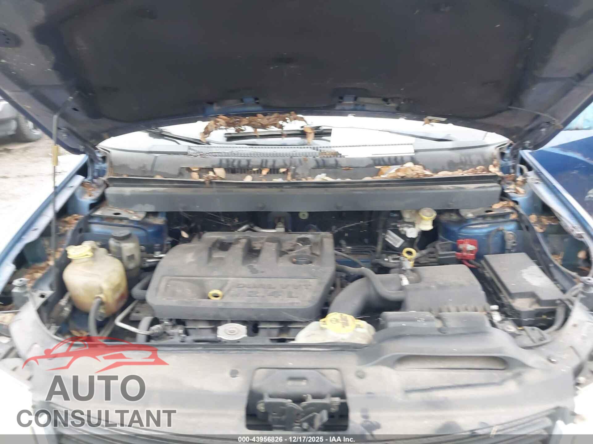DODGE JOURNEY 2009 - 3D4GG47B49T246237