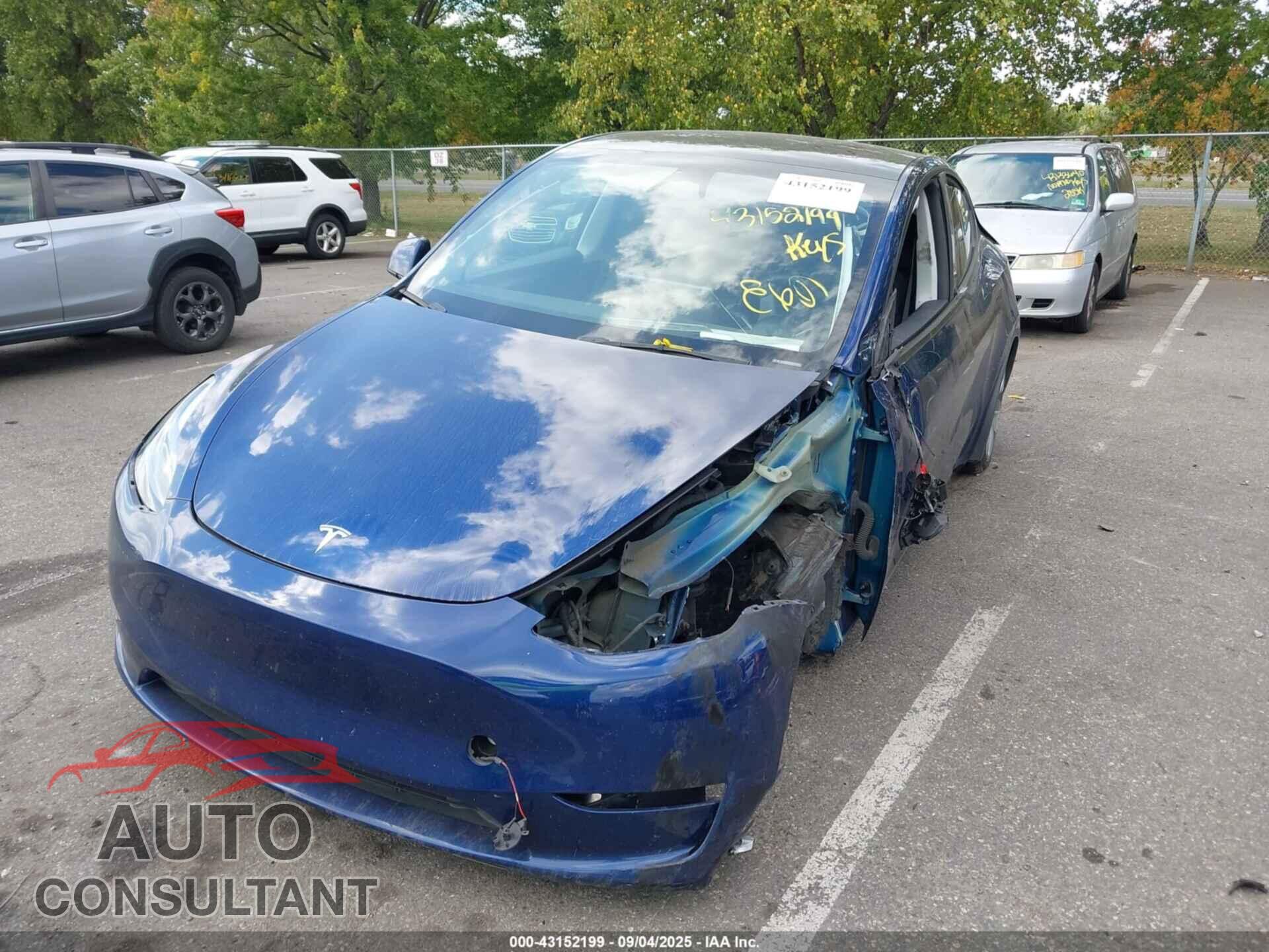 TESLA MODEL Y 2024 - 7SAYGDEE7RA222799