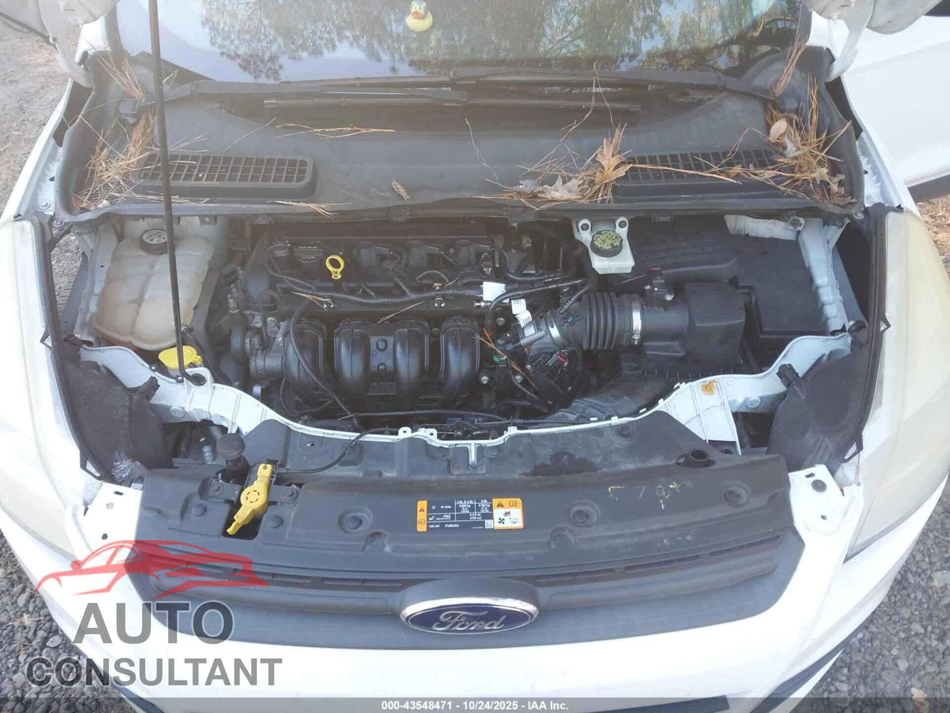 FORD ESCAPE 2013 - 1FMCU0F72DUD65263