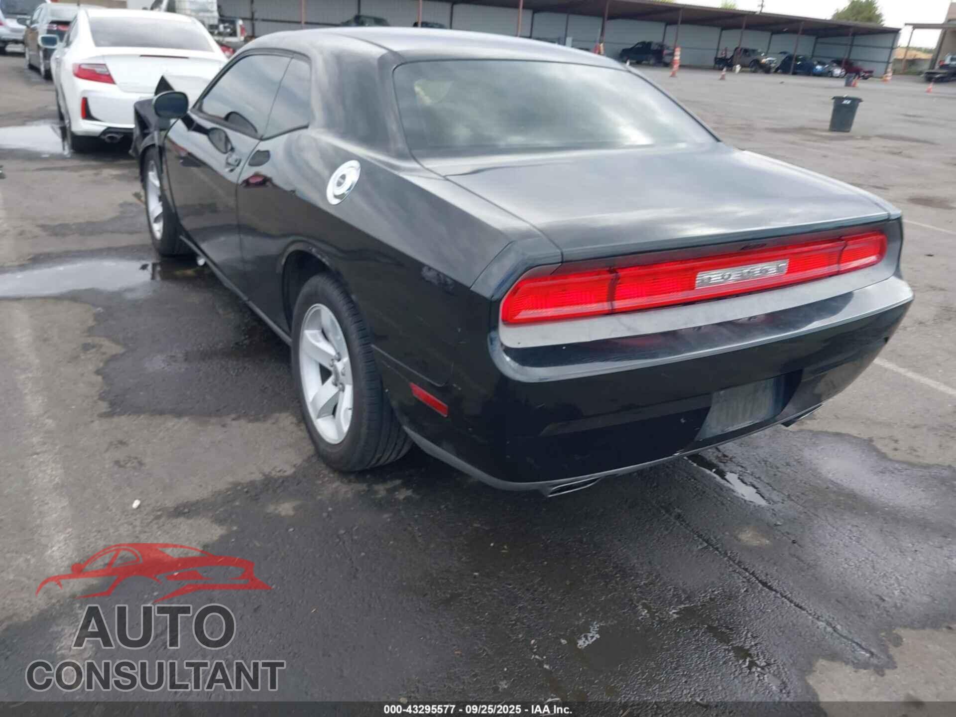 DODGE CHALLENGER 2013 - 2C3CDYAG8DH607460