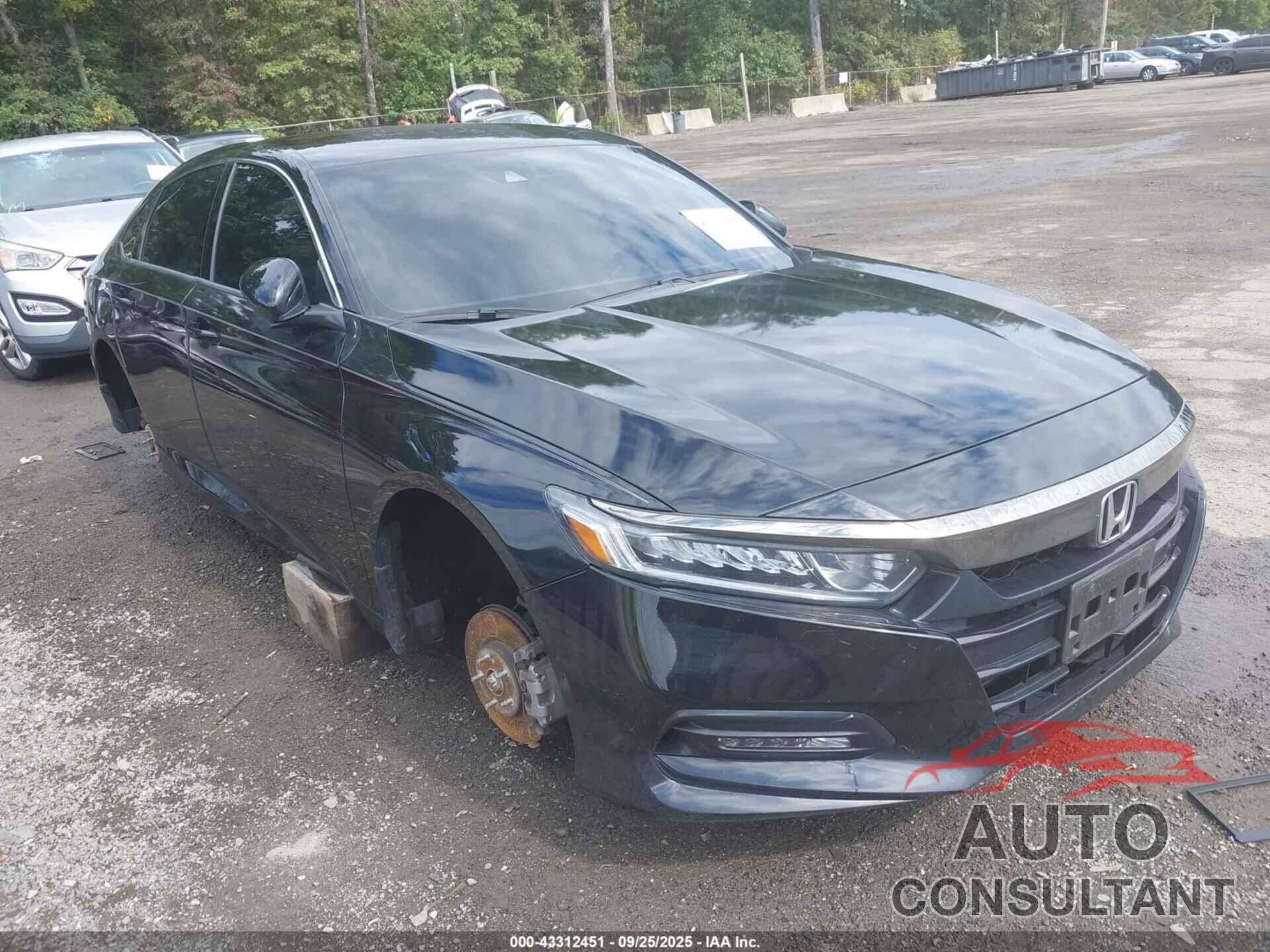 HONDA ACCORD 2019 - 1HGCV1F33KA151810