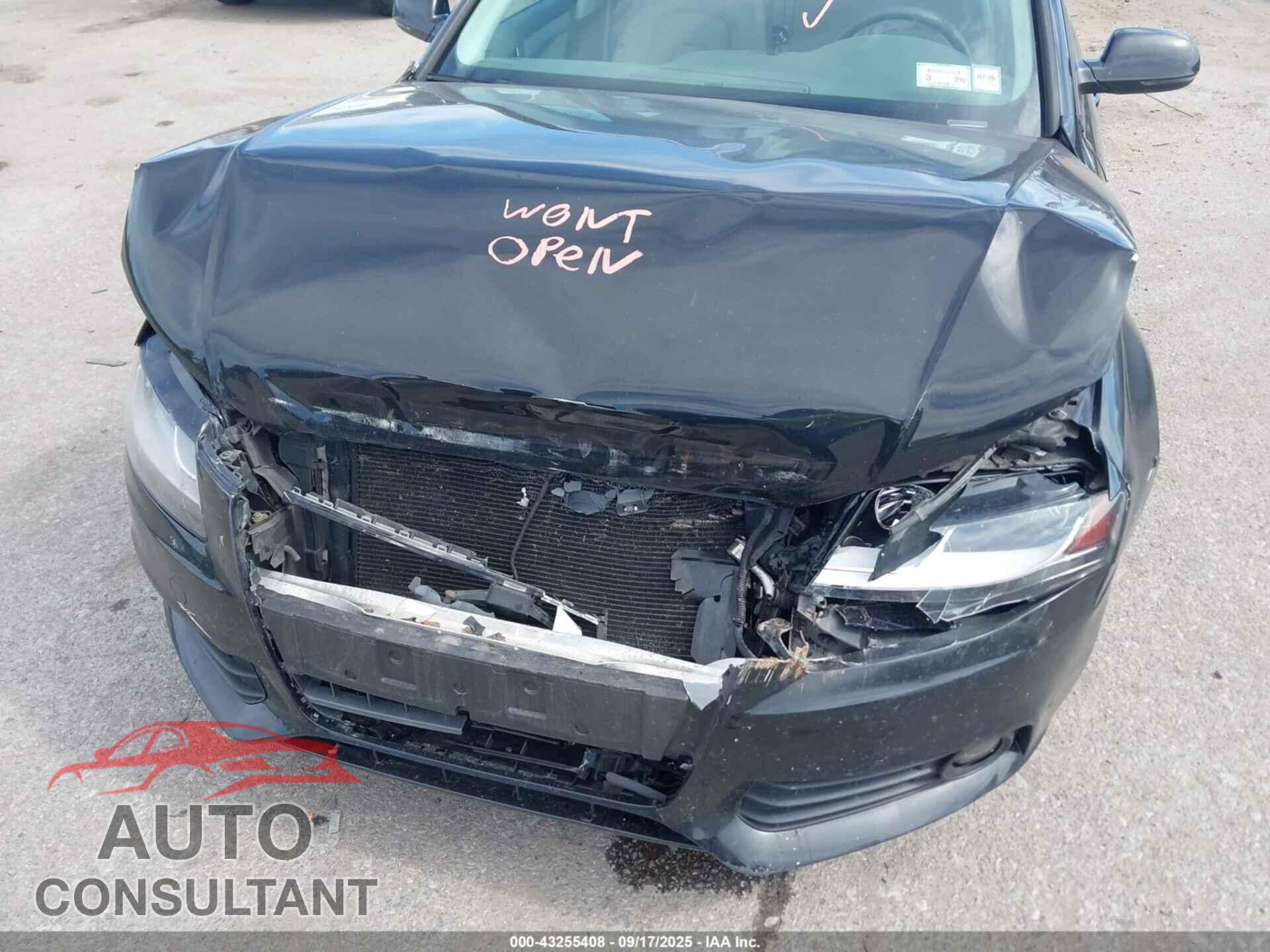 AUDI A4 2011 - WAUBFAFL8BN041834