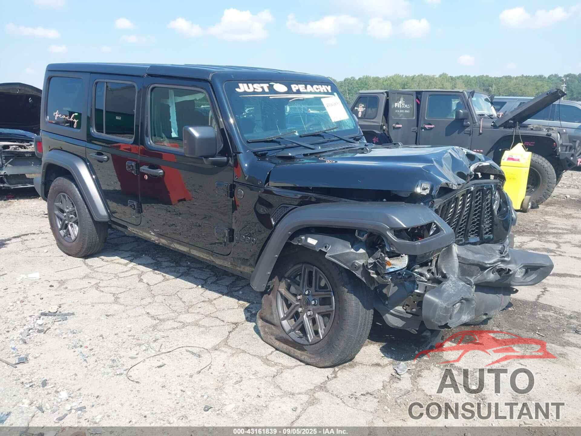 JEEP WRANGLER 2024 - 1C4PJXDNXRW125947