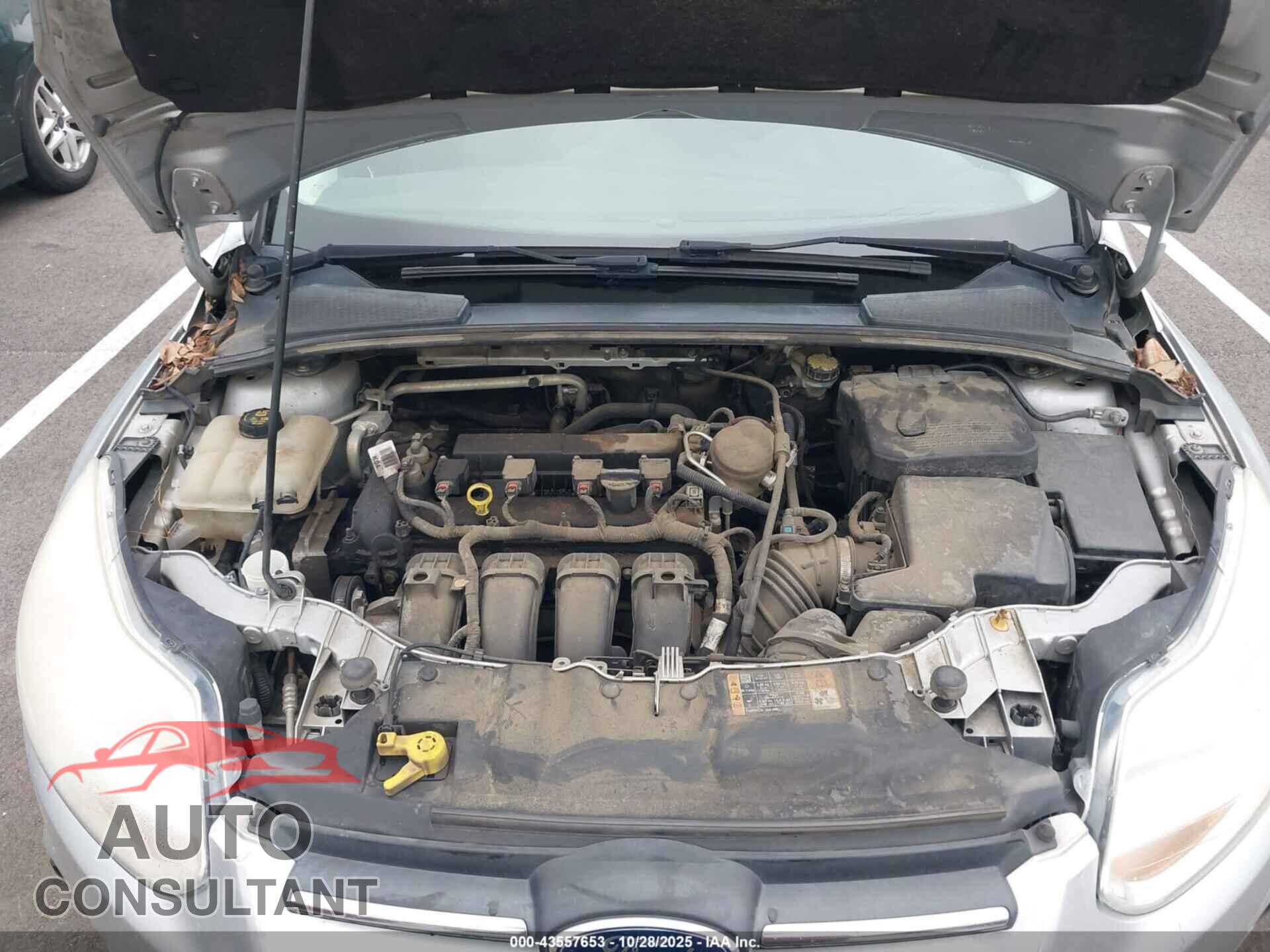 FORD FOCUS 2014 - 1FADP3F25EL312821