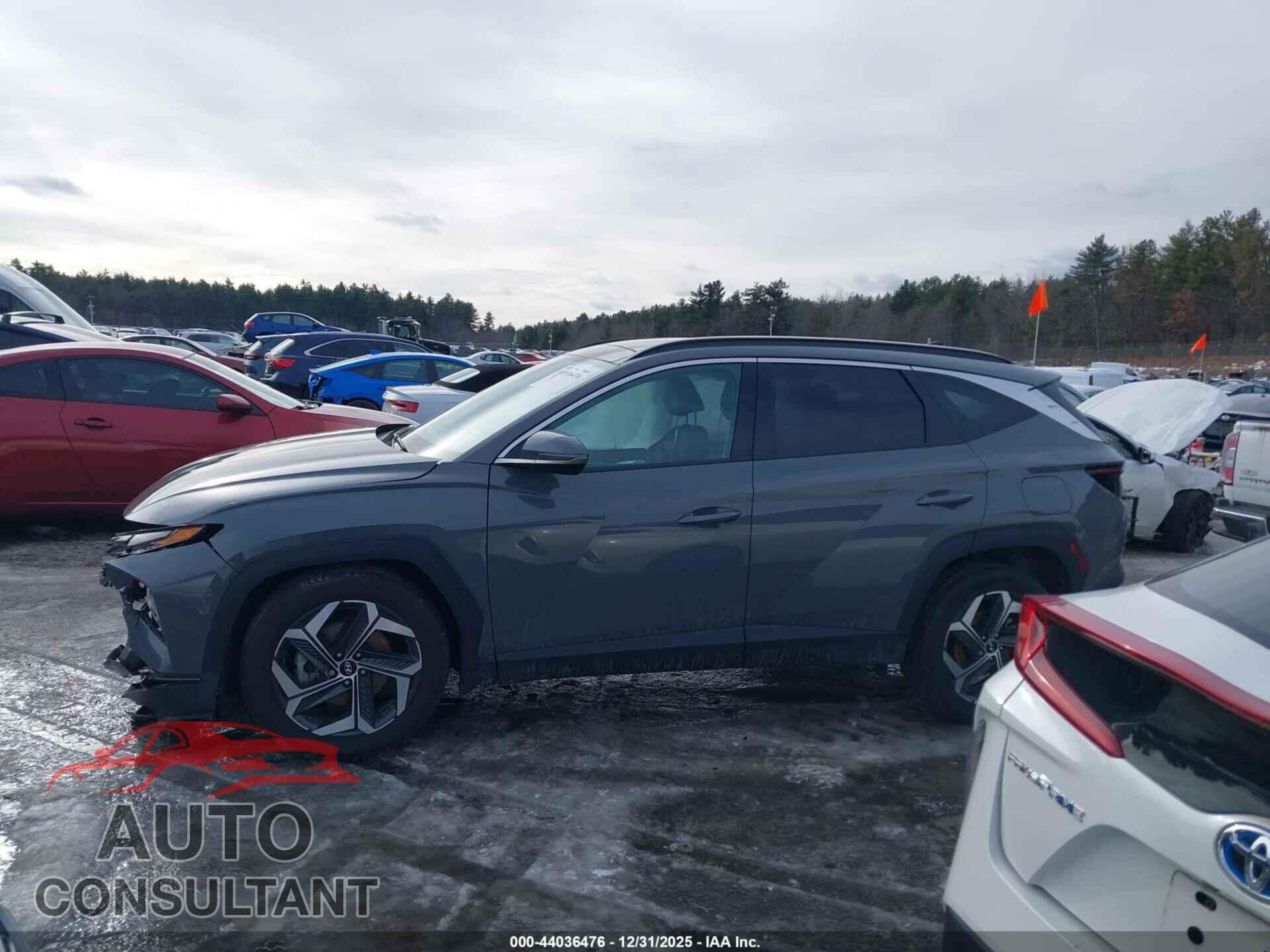 HYUNDAI TUCSON 2024 - 5NMJECDE8RH395491