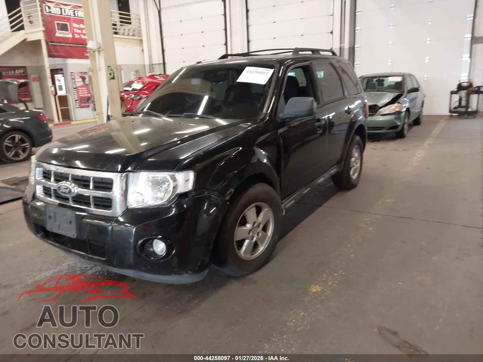 FORD ESCAPE 2010 - 1FMCU9DG7AKB53747