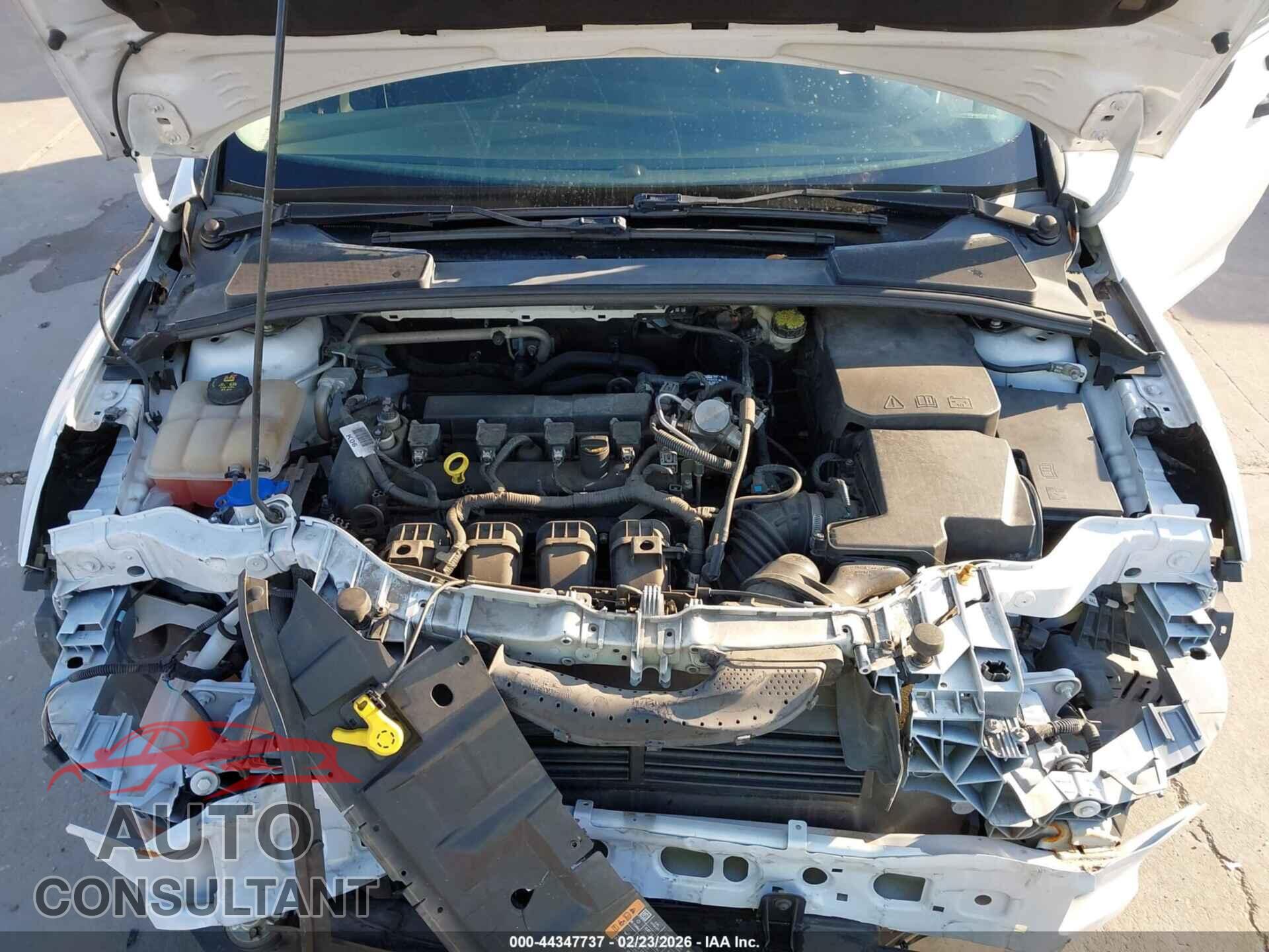 FORD FOCUS 2016 - 1FADP3E22GL385228