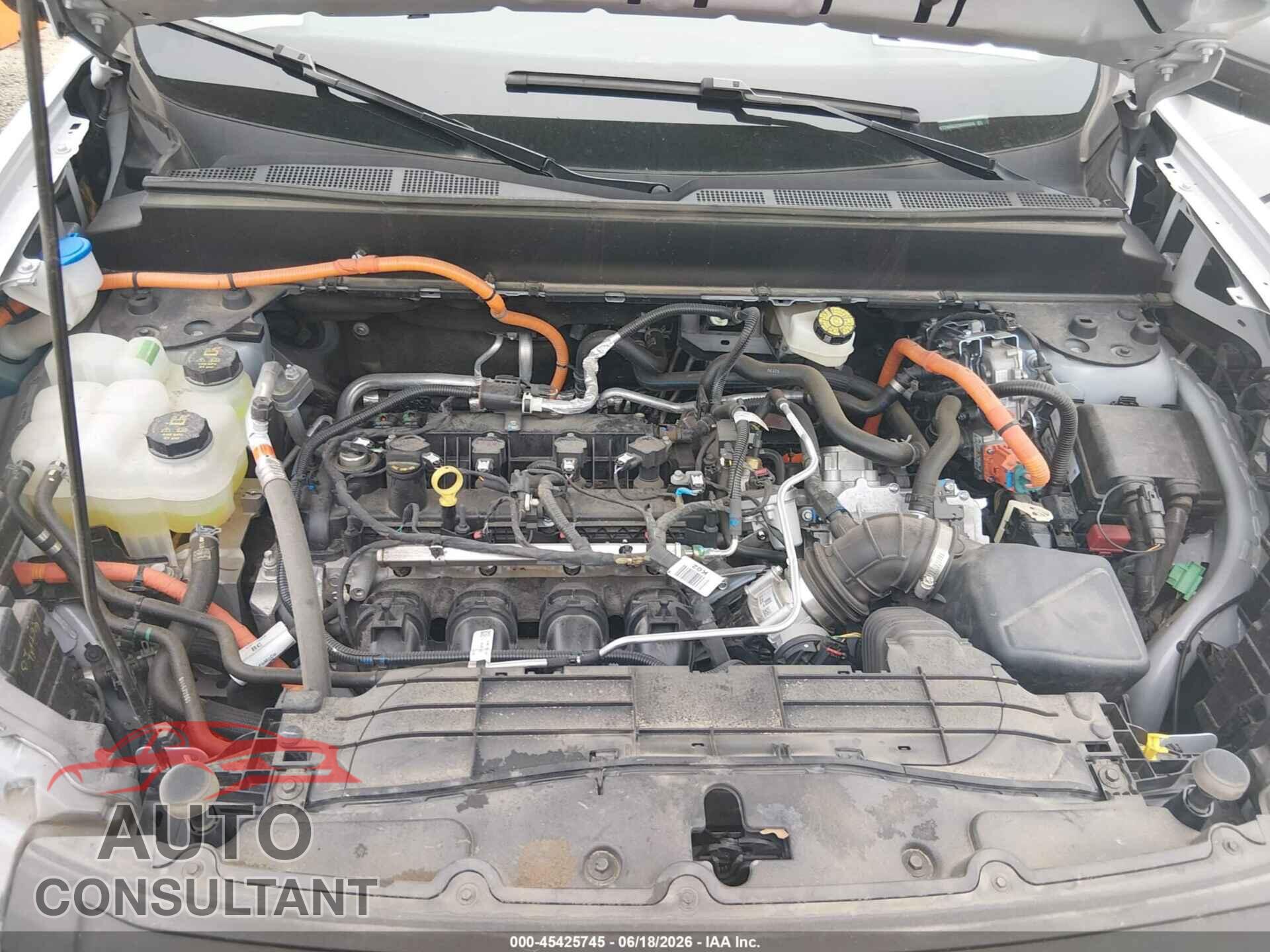 FORD MAVERICK 2025 - 3FTTW8A37SRA64378