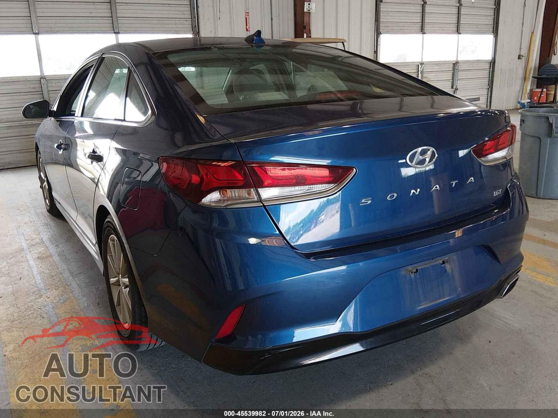 HYUNDAI SONATA 2019 - 5NPE24AA8KH774792