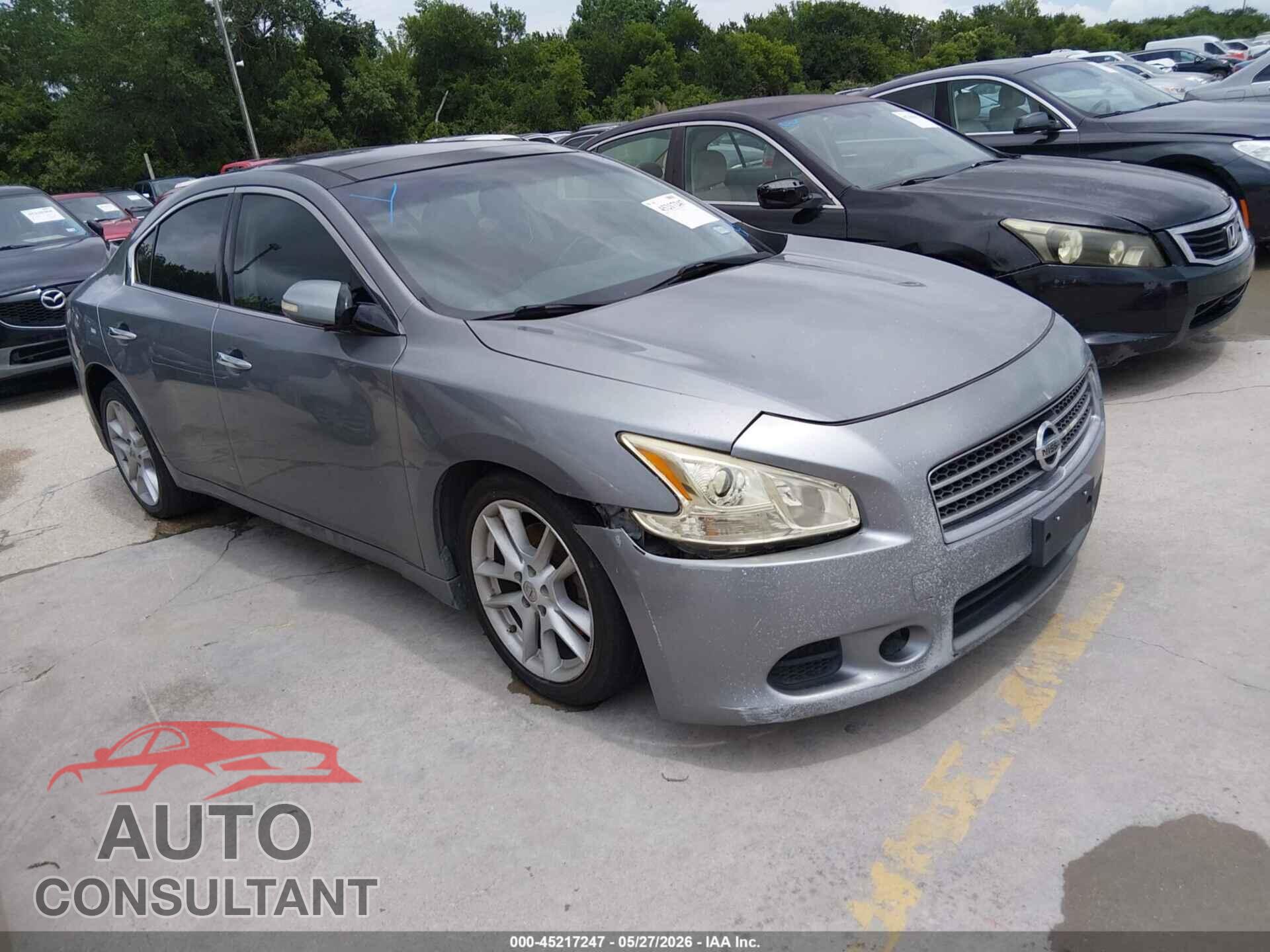 NISSAN MAXIMA 2009 - 1N4AA51EX9C826543