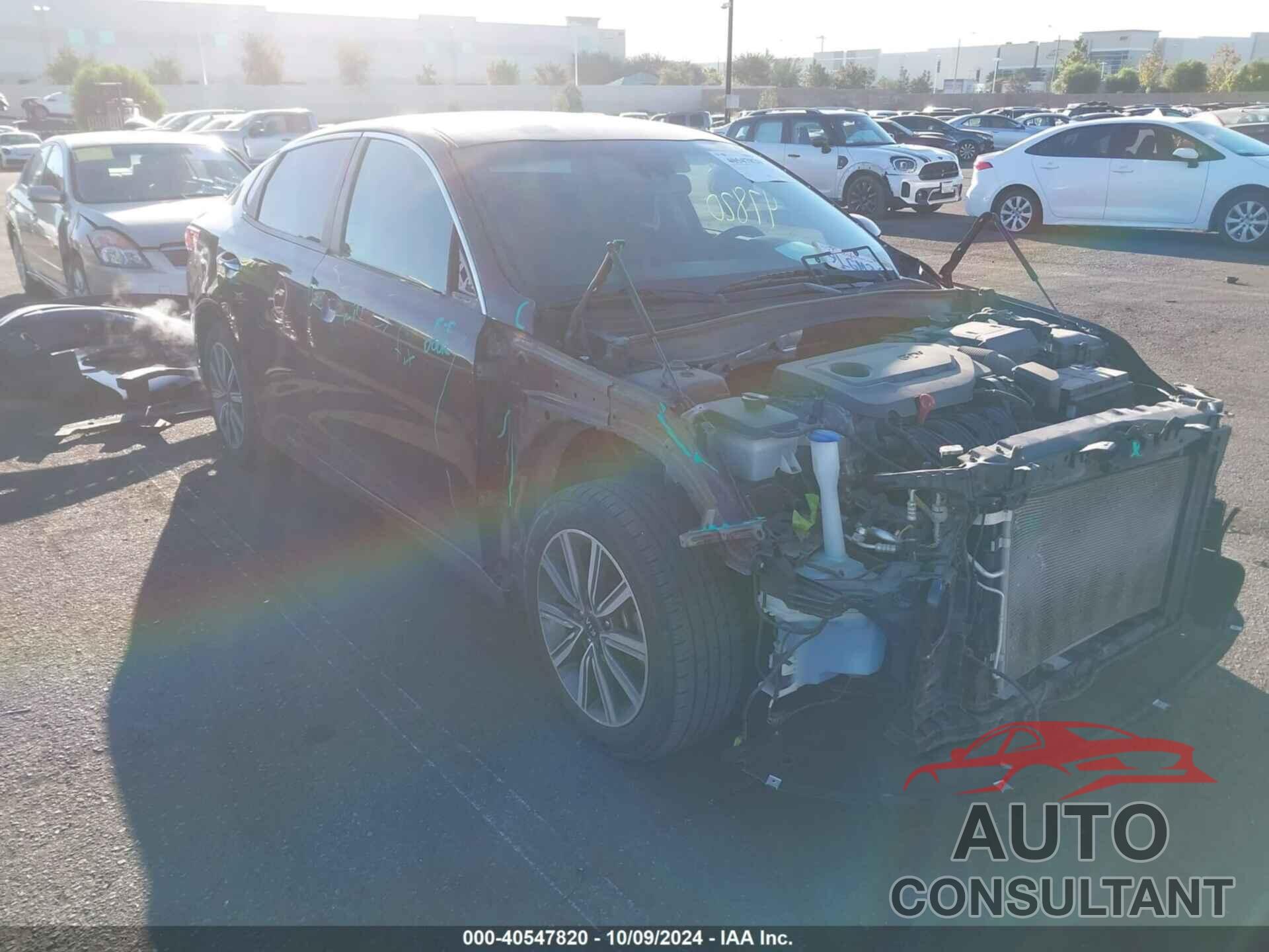KIA OPTIMA 2019 - 5XXGT4L31KG370877