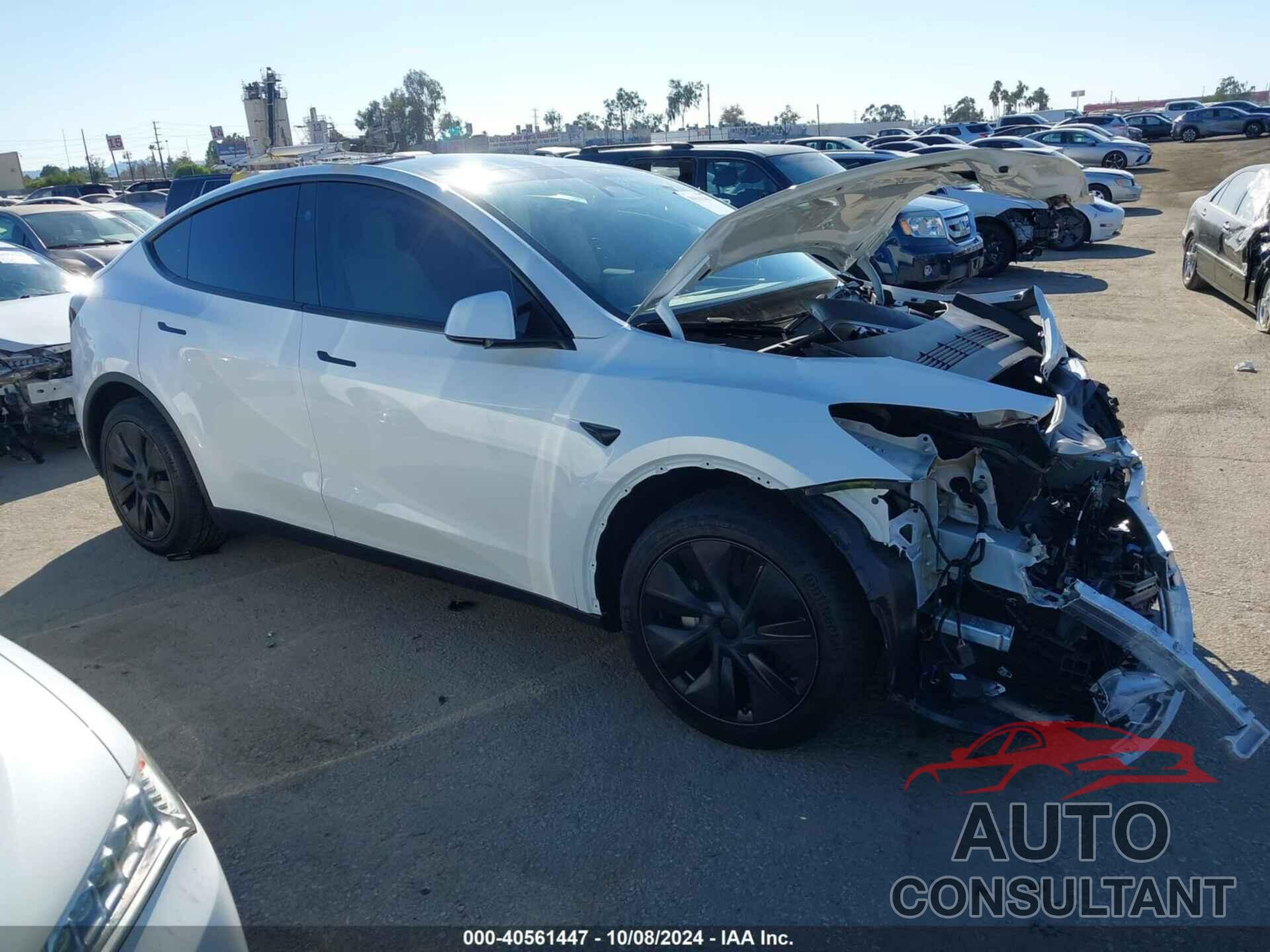 TESLA MODEL Y 2024 - 7SAYGDED5RF154884