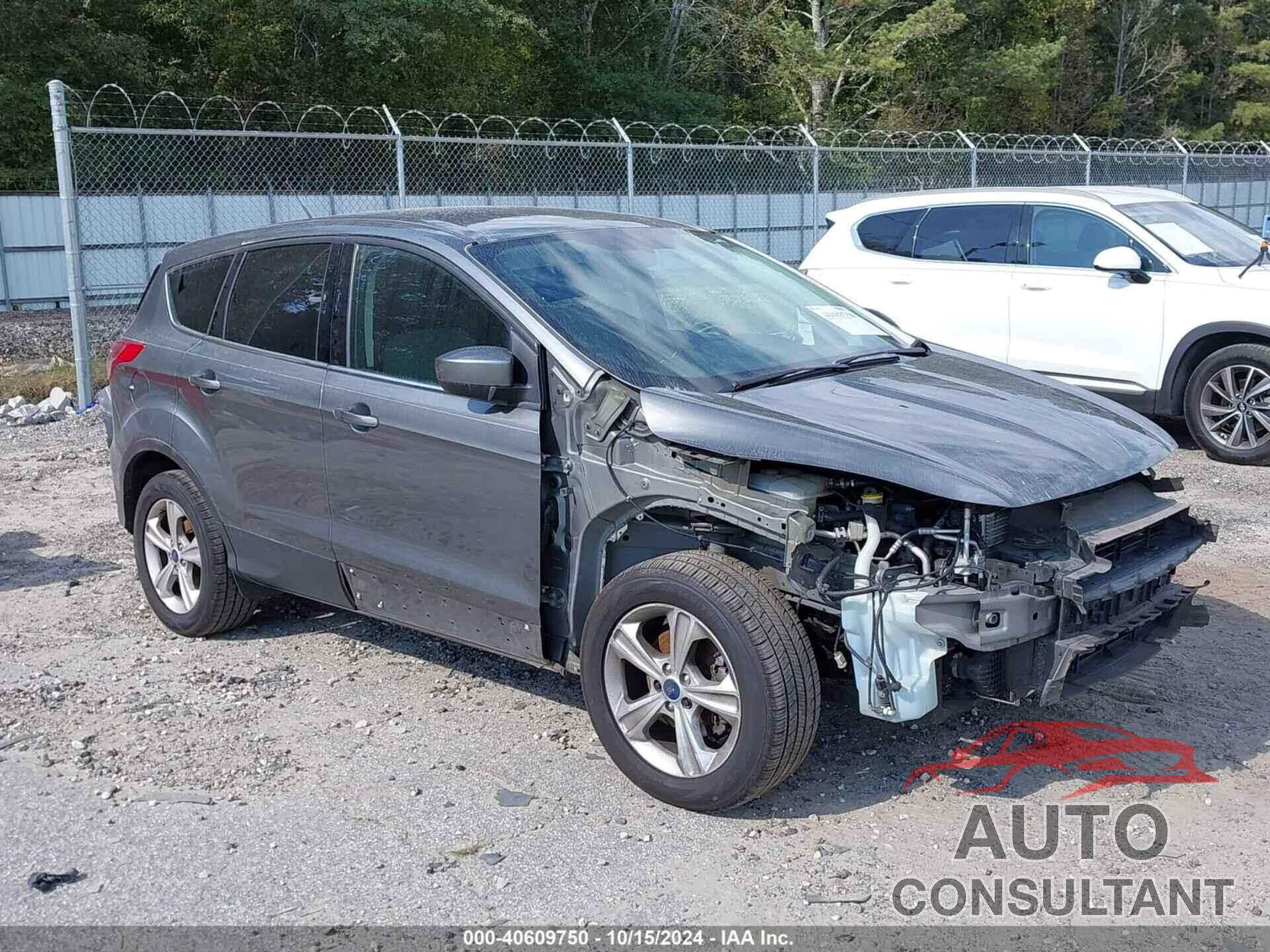 FORD ESCAPE 2014 - 1FMCU0GX4EUE49780