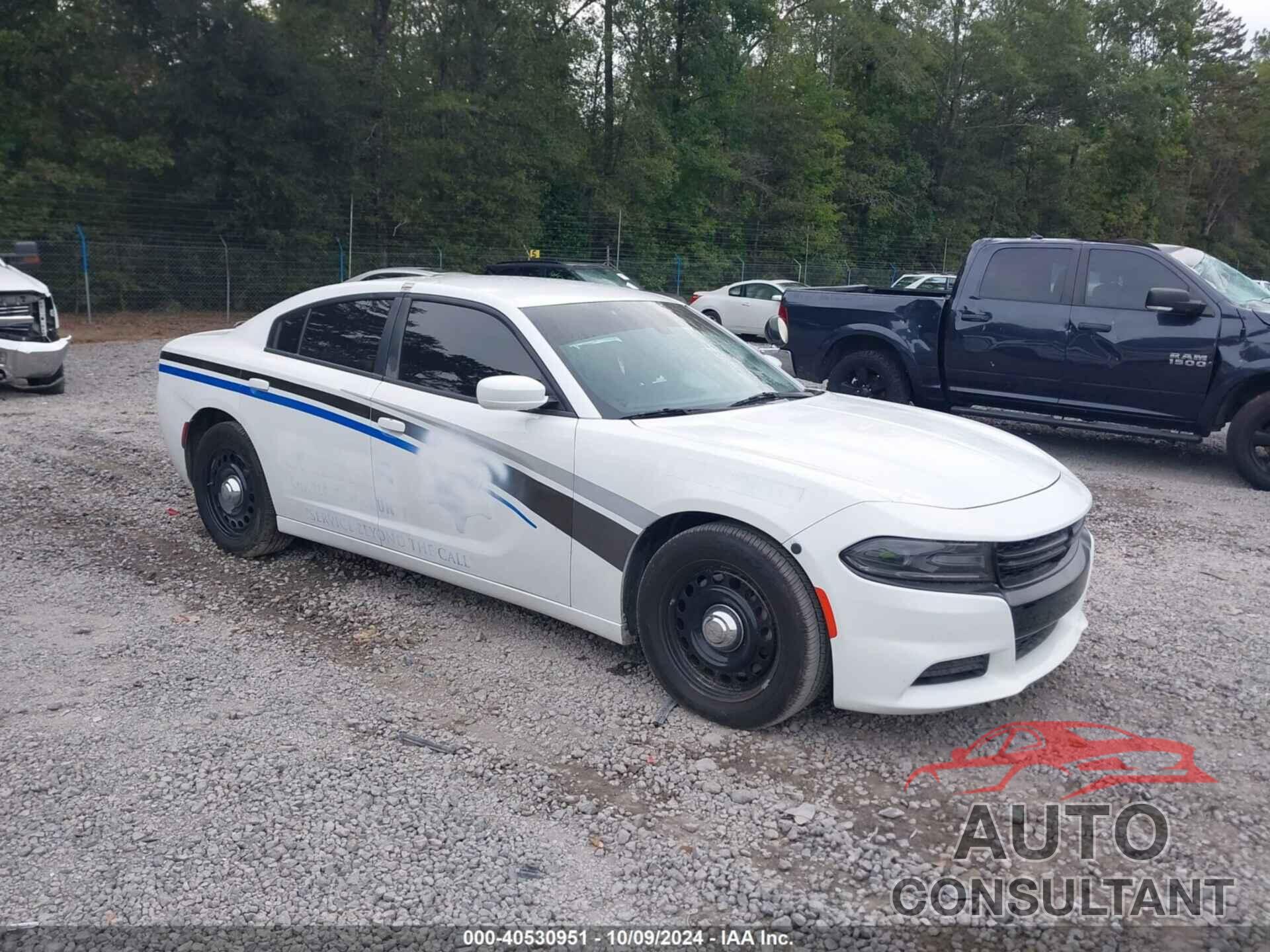 DODGE CHARGER 2019 - 2C3CDXKTXKH755287