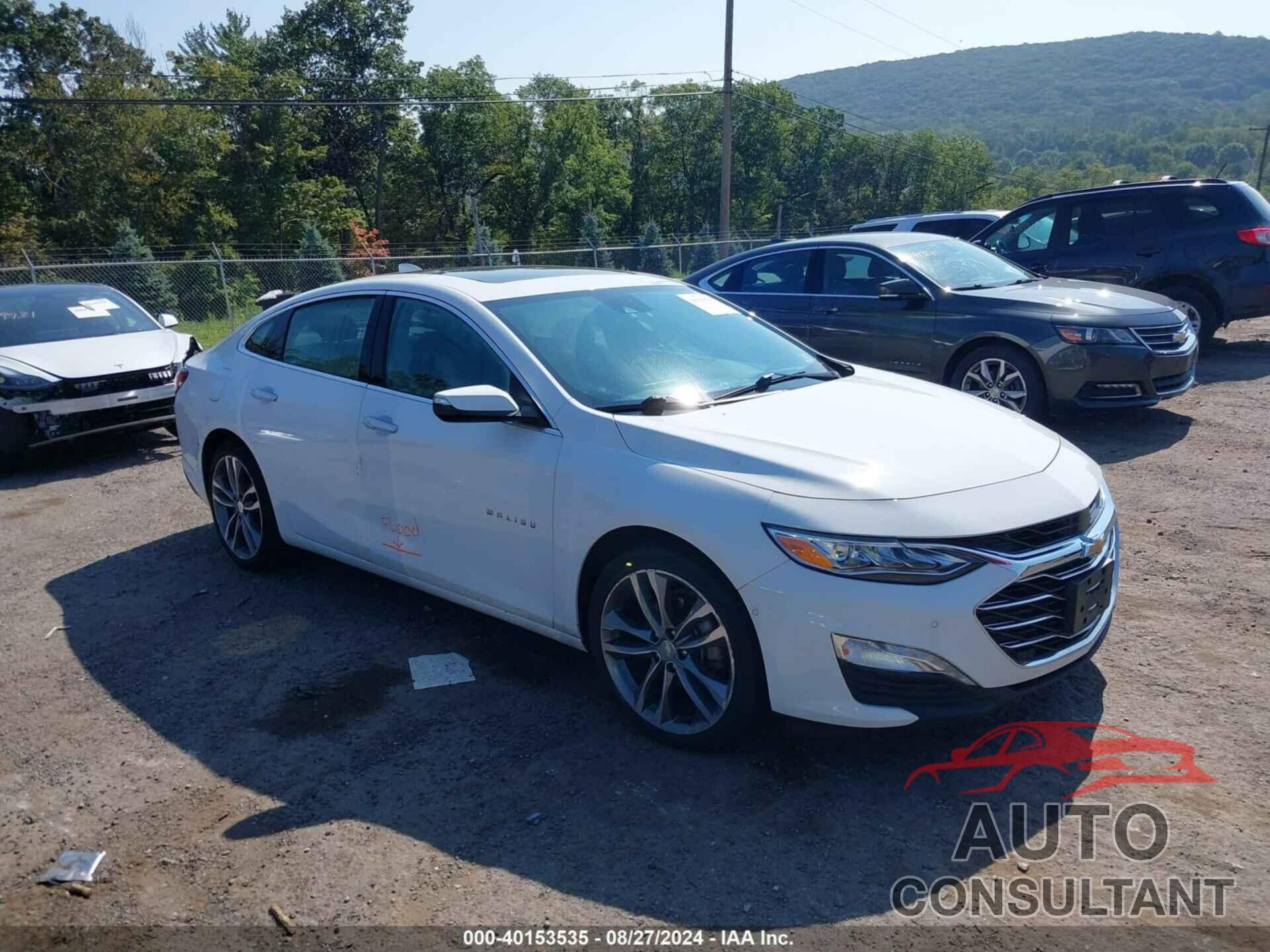 CHEVROLET MALIBU 2019 - 1G1ZE5SX9KF151282