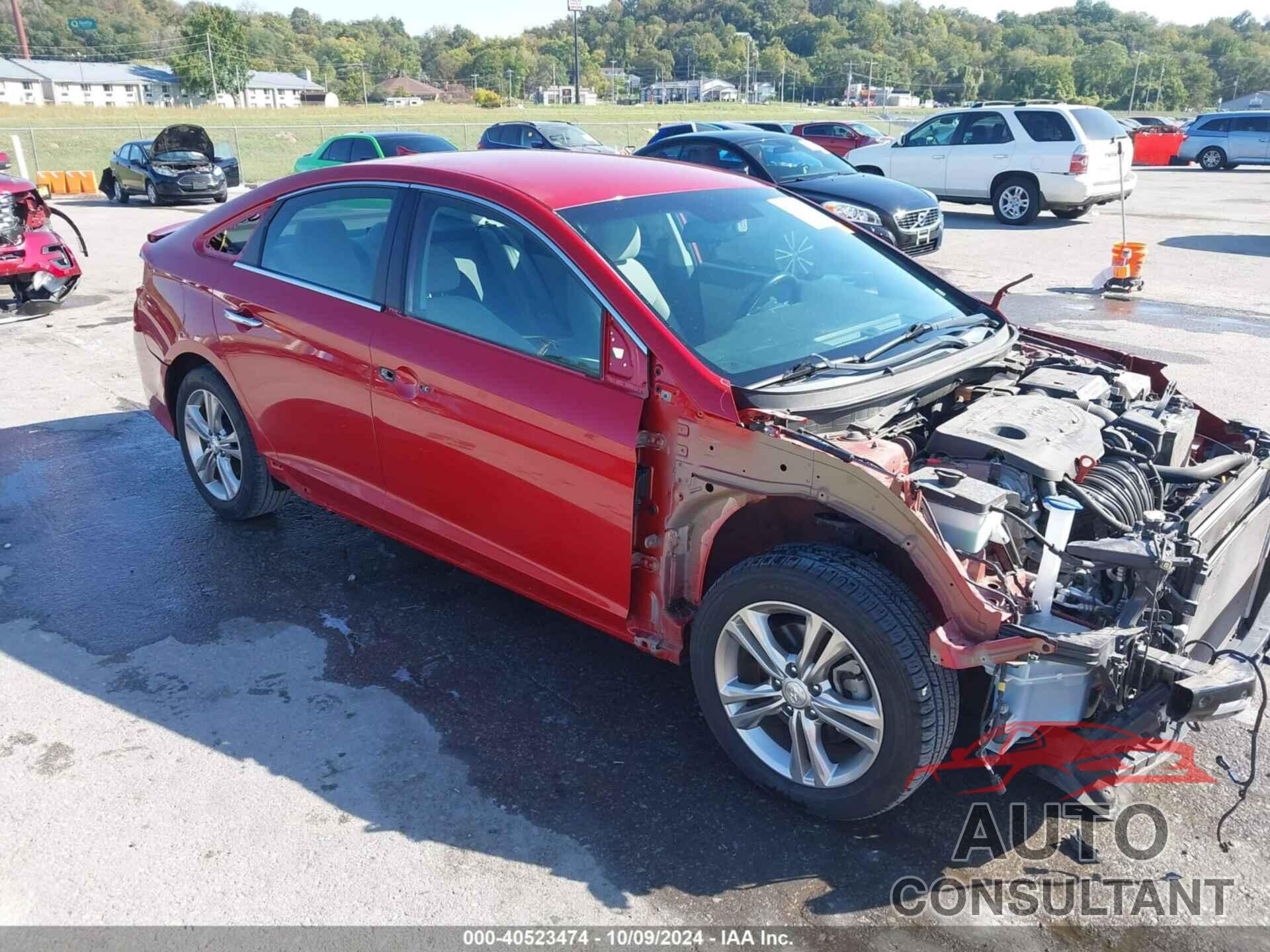HYUNDAI SONATA 2019 - 5NPE34AFXKH784197