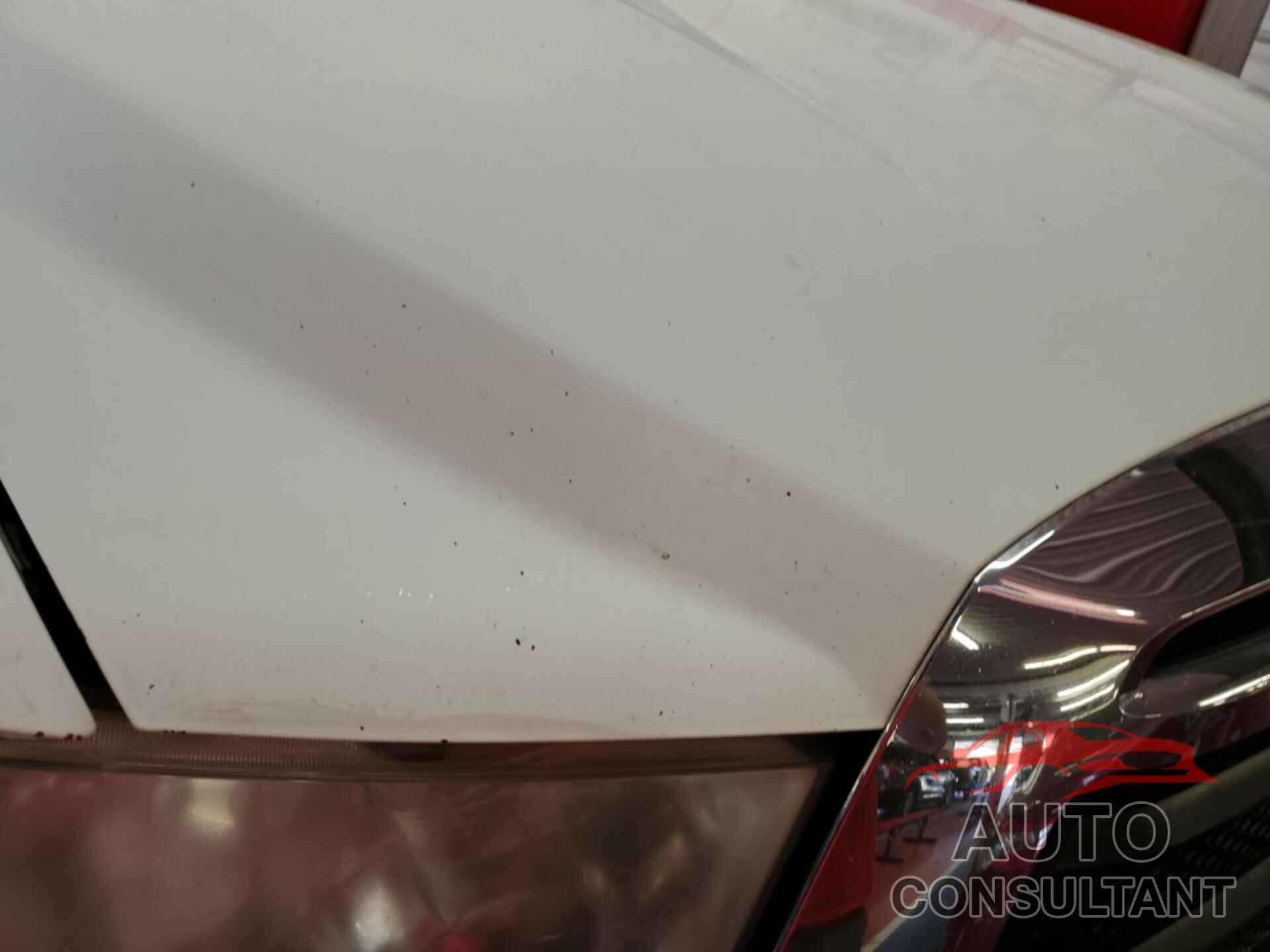 TOYOTA TUNDRA 2011 - 5TFLU5F14BX025167