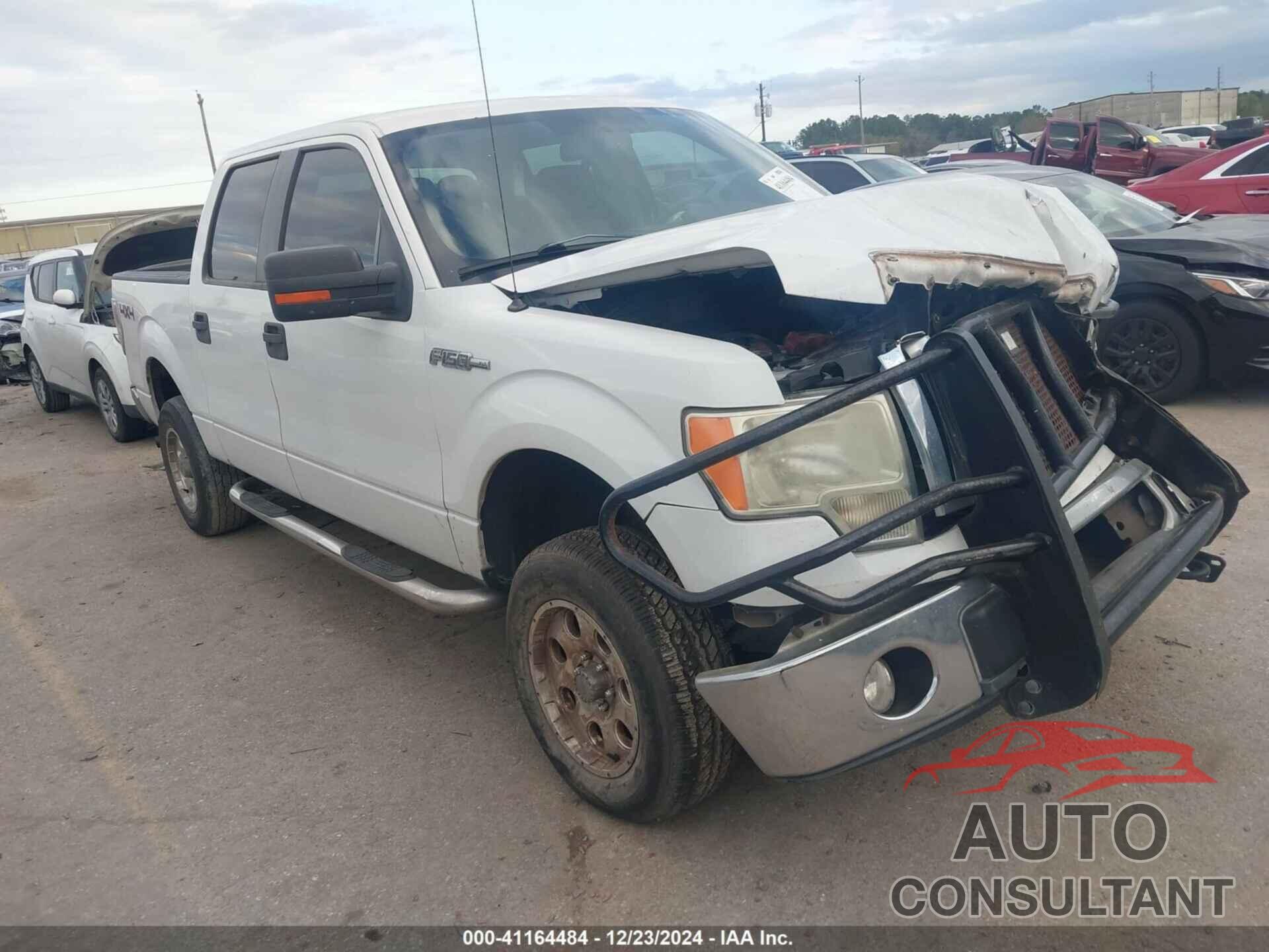 FORD F-150 2010 - 1FTFW1EV0AFA06205