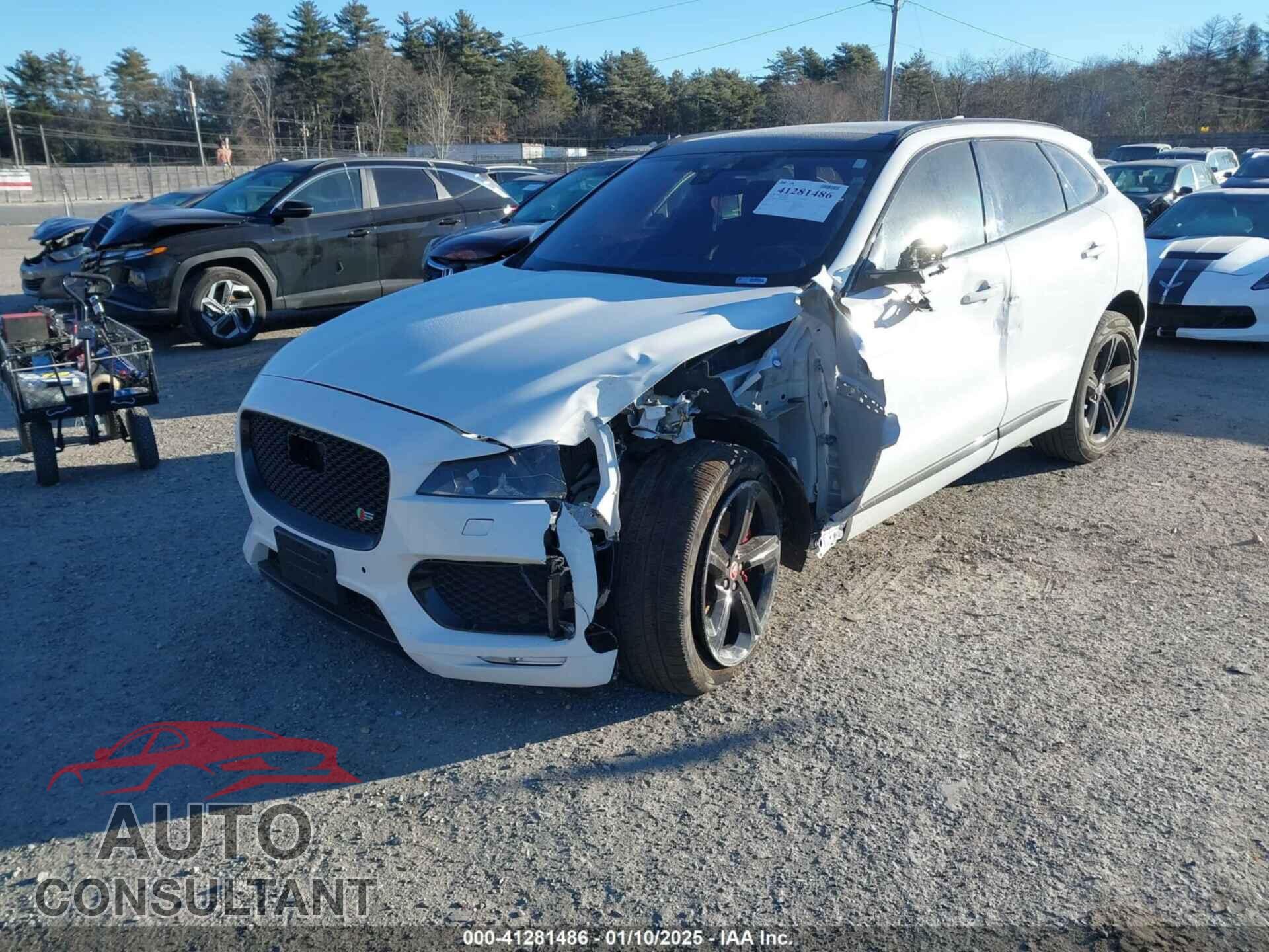 JAGUAR F-PACE 2019 - SADCM2FV9KA602624