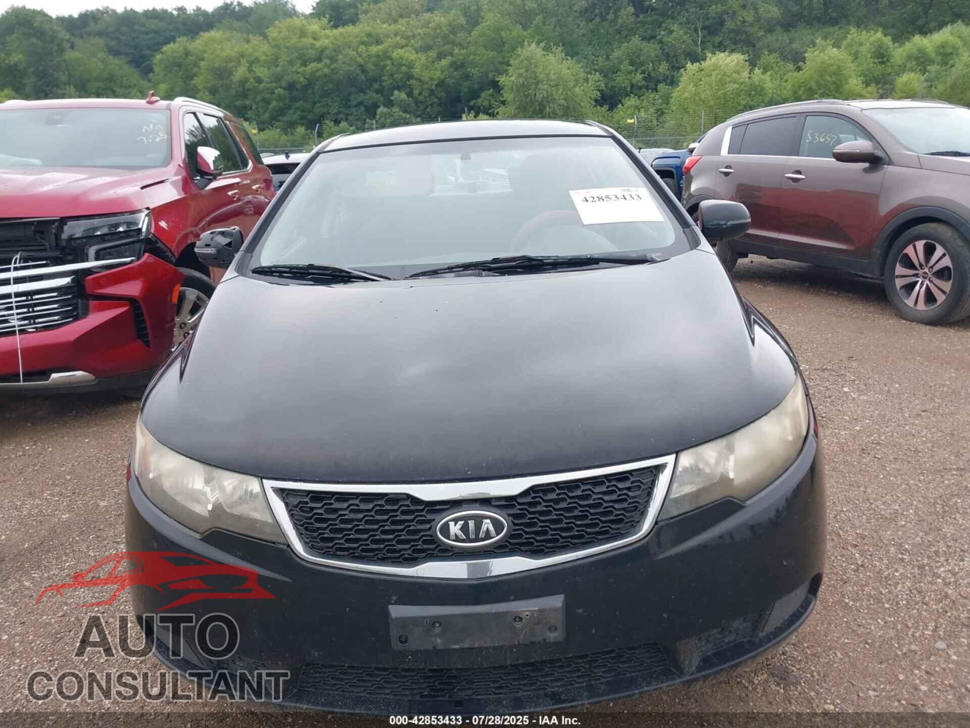 KIA FORTE 2012 - KNAFU4A25C5606176