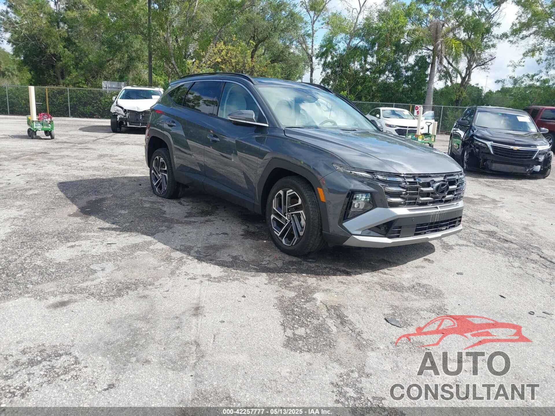HYUNDAI TUCSON 2025 - 5NMJECDE6SH554157