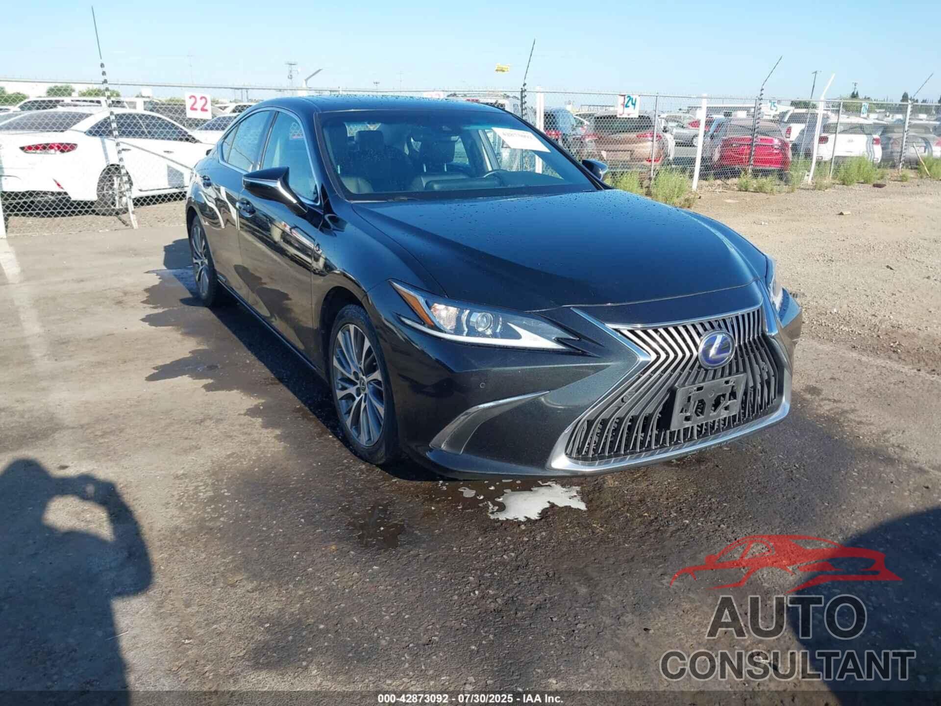 LEXUS ES 300H 2020 - 58AD21B1XLU011614
