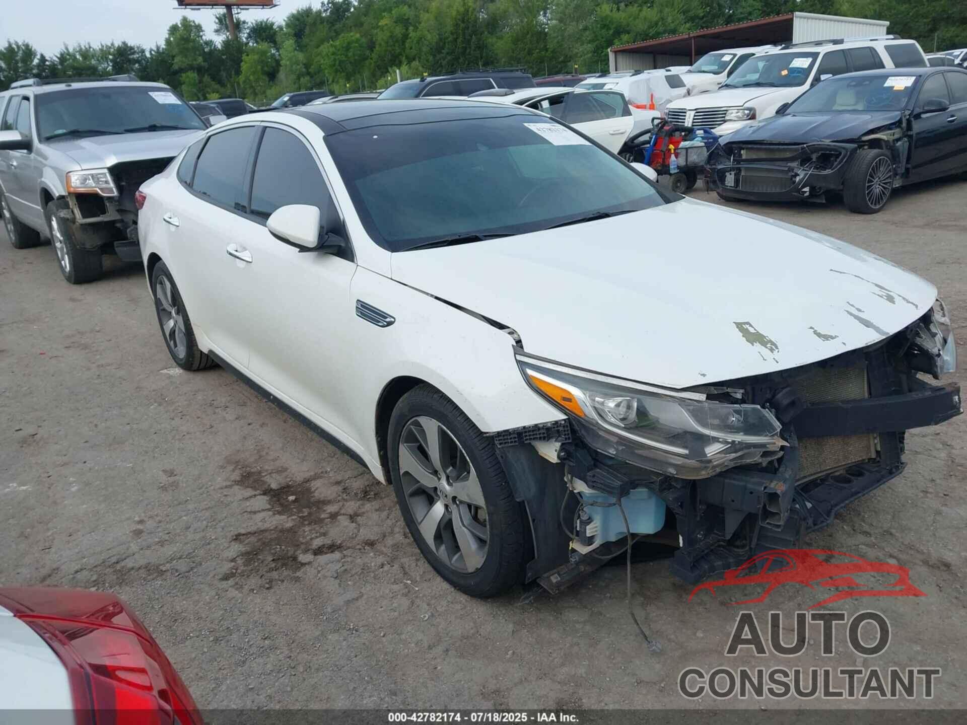 KIA OPTIMA 2019 - 5XXGT4L37KG307010