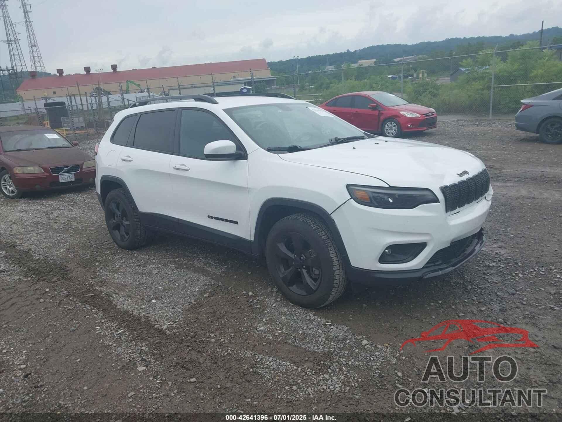 JEEP CHEROKEE 2019 - 1C4PJMLB0KD462599