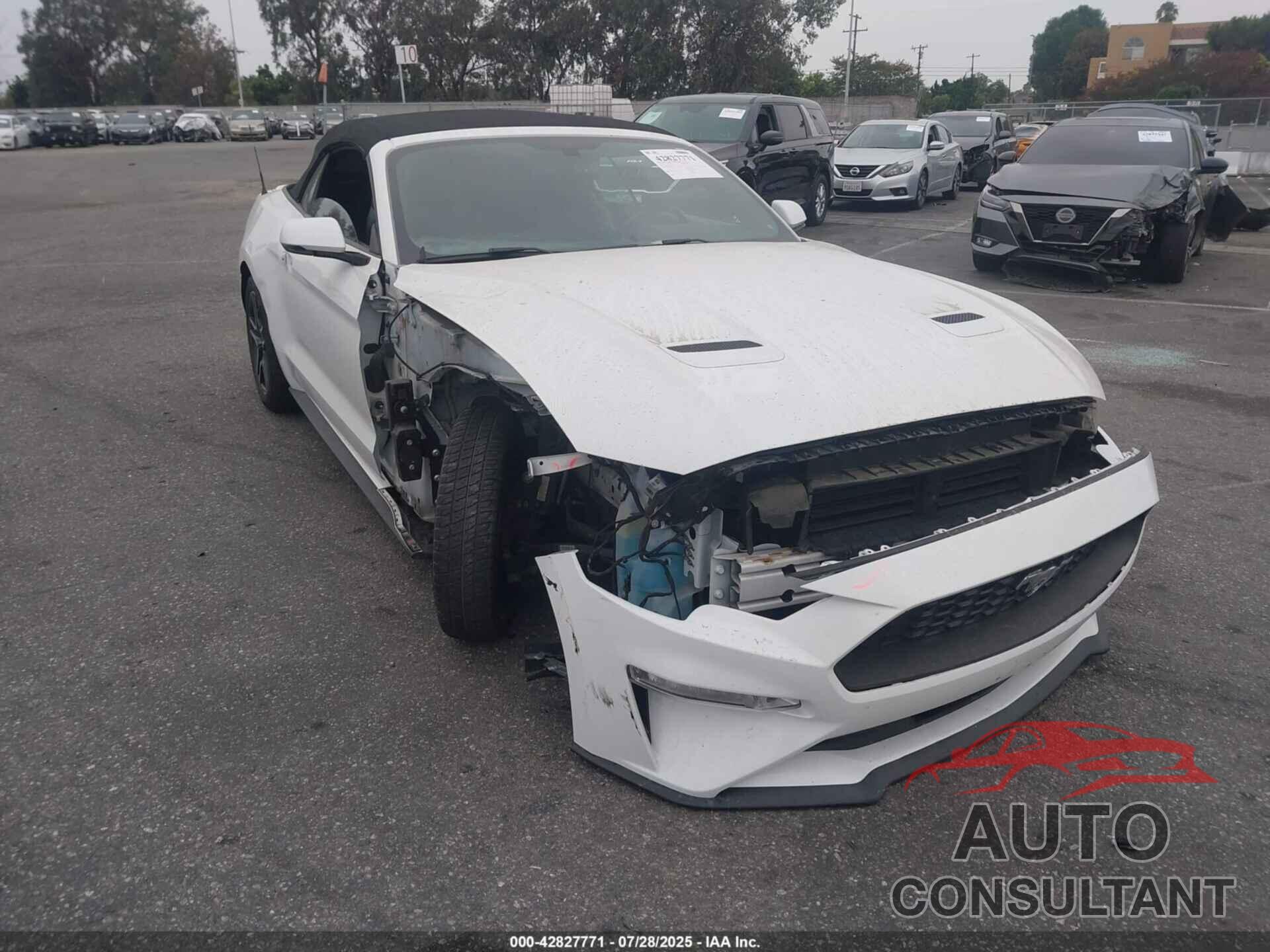 FORD MUSTANG 2019 - 1FATP8UH5K5104602