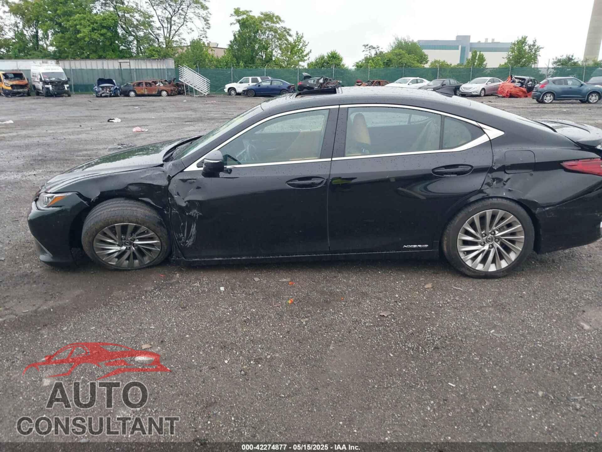 LEXUS ES 2022 - 58AEA1C19NU025142