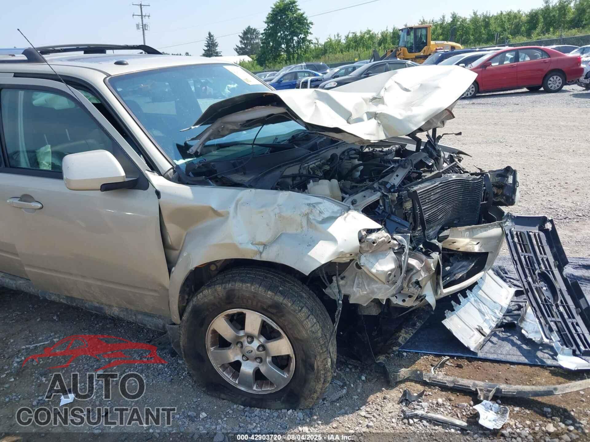 FORD ESCAPE 2011 - 1FMCU9E70BKB08598