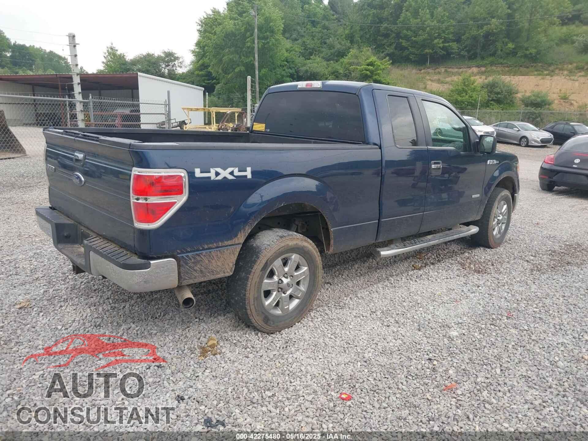 FORD F-150 2013 - 1FTFX1ET7DFD32387