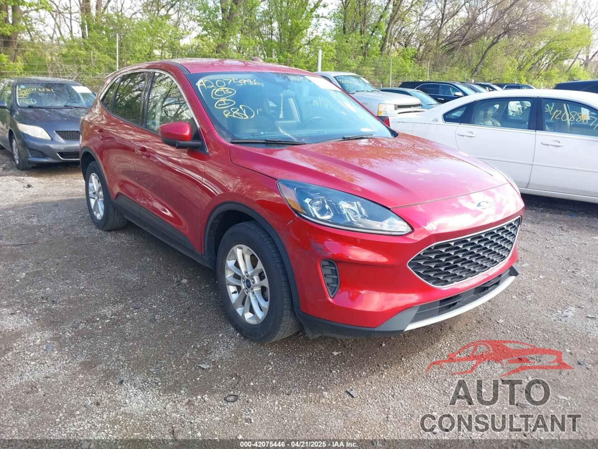FORD ESCAPE 2020 - 1FMCU9G64LUC69806