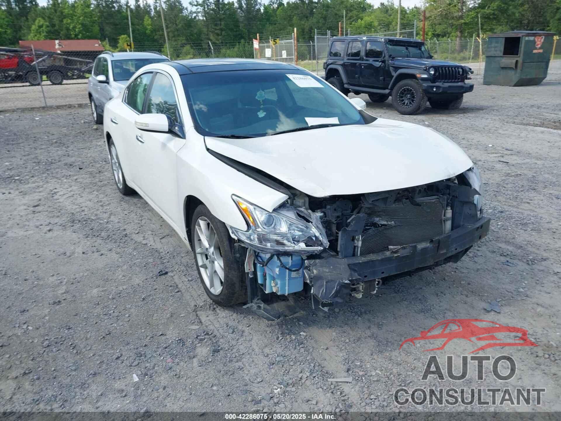 NISSAN MAXIMA 2010 - 1N4AA5AP2AC873538