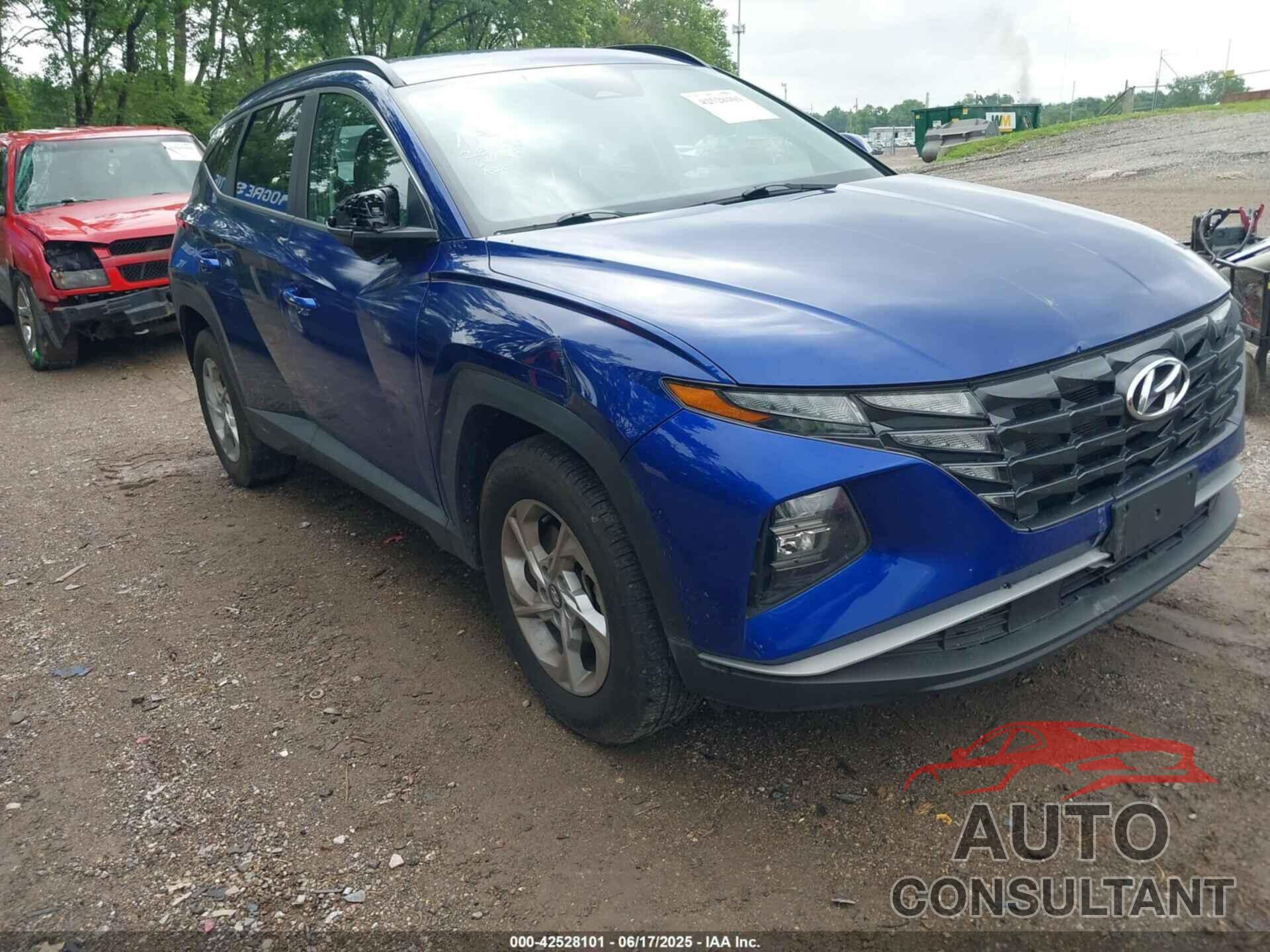 HYUNDAI TUCSON 2024 - 5NMJBCDE2RH325199
