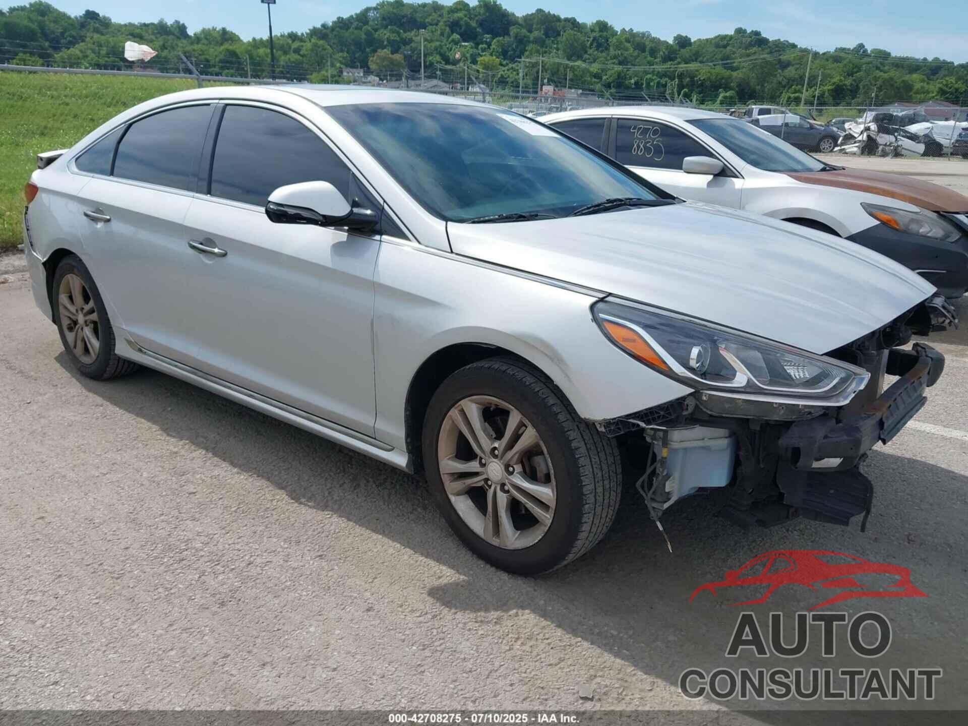 HYUNDAI SONATA 2019 - 5NPE34AF2KH815832