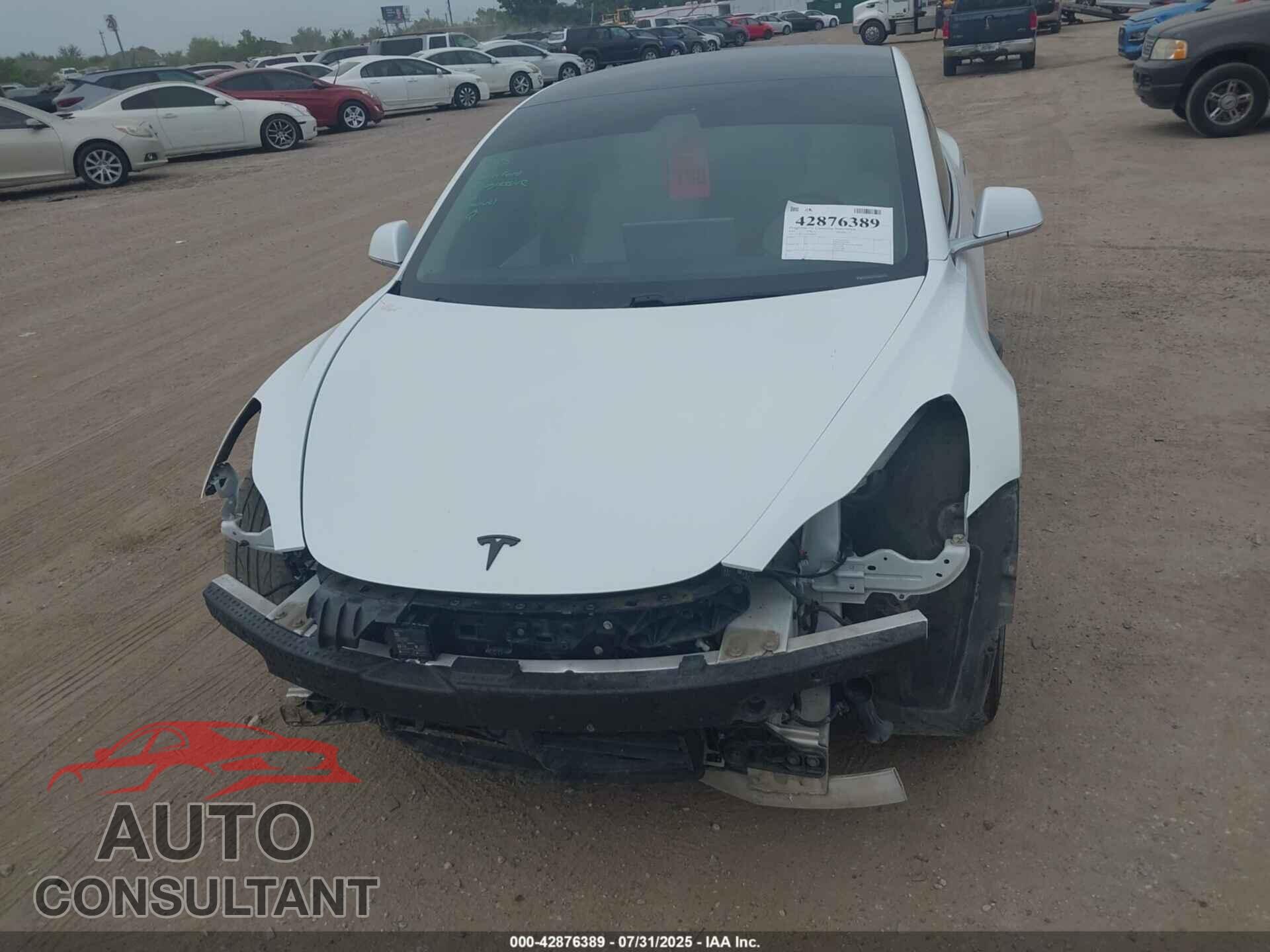 TESLA MODEL 3 2019 - 5YJ3E1EA5KF486587