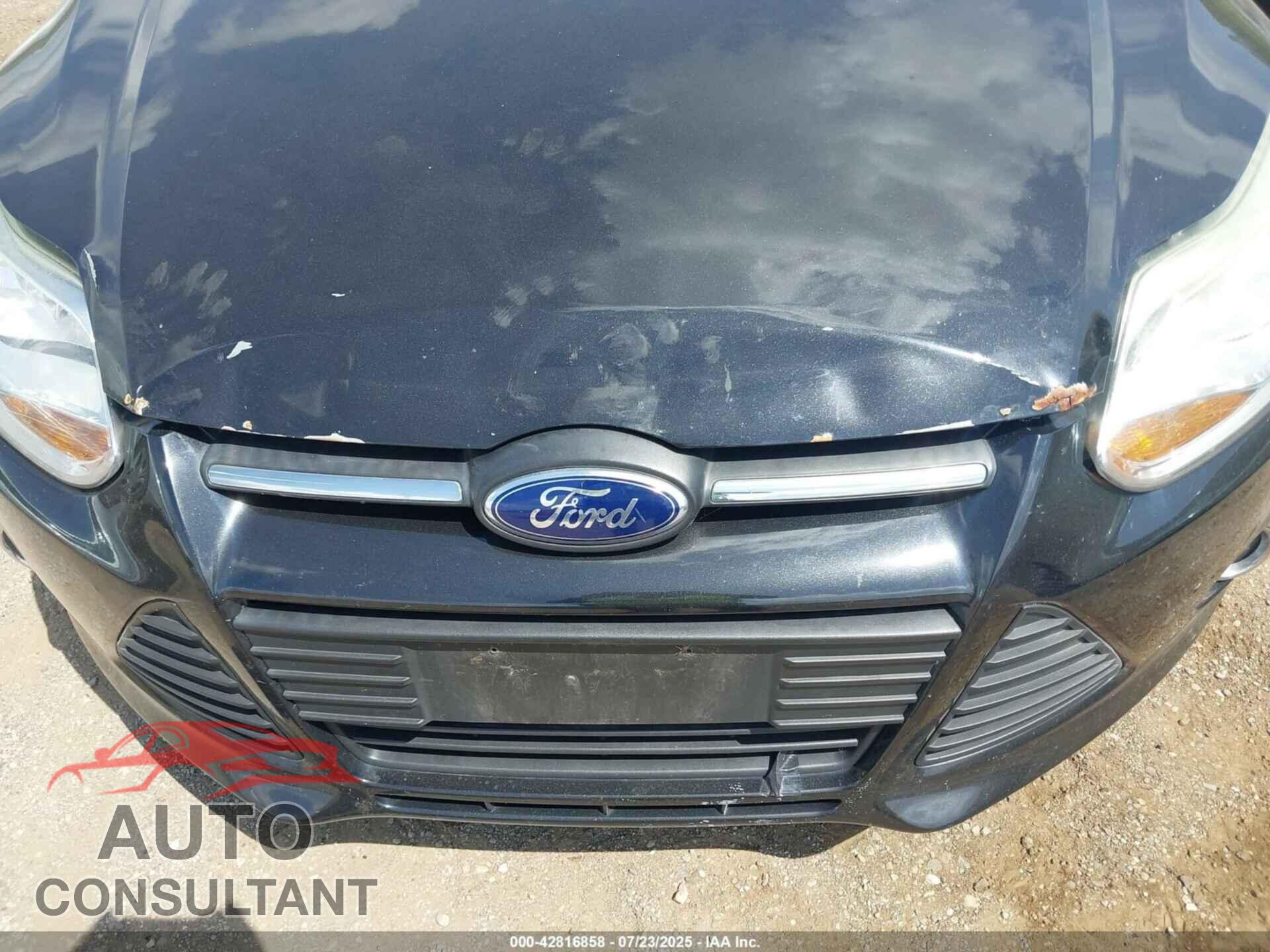 FORD FOCUS 2012 - 1FAHP3F22CL420926