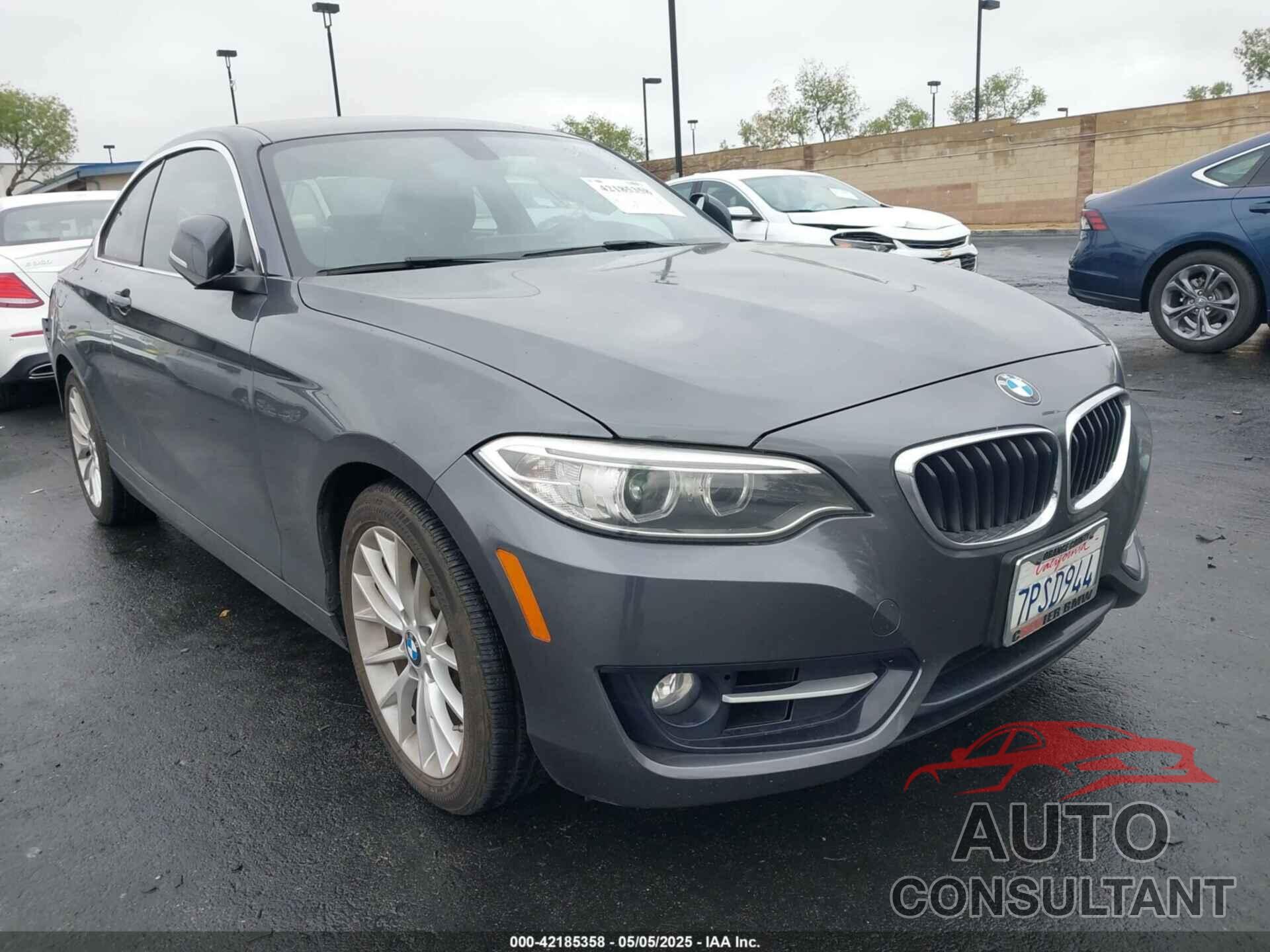 BMW 228I 2016 - WBA1F9C54GV544851