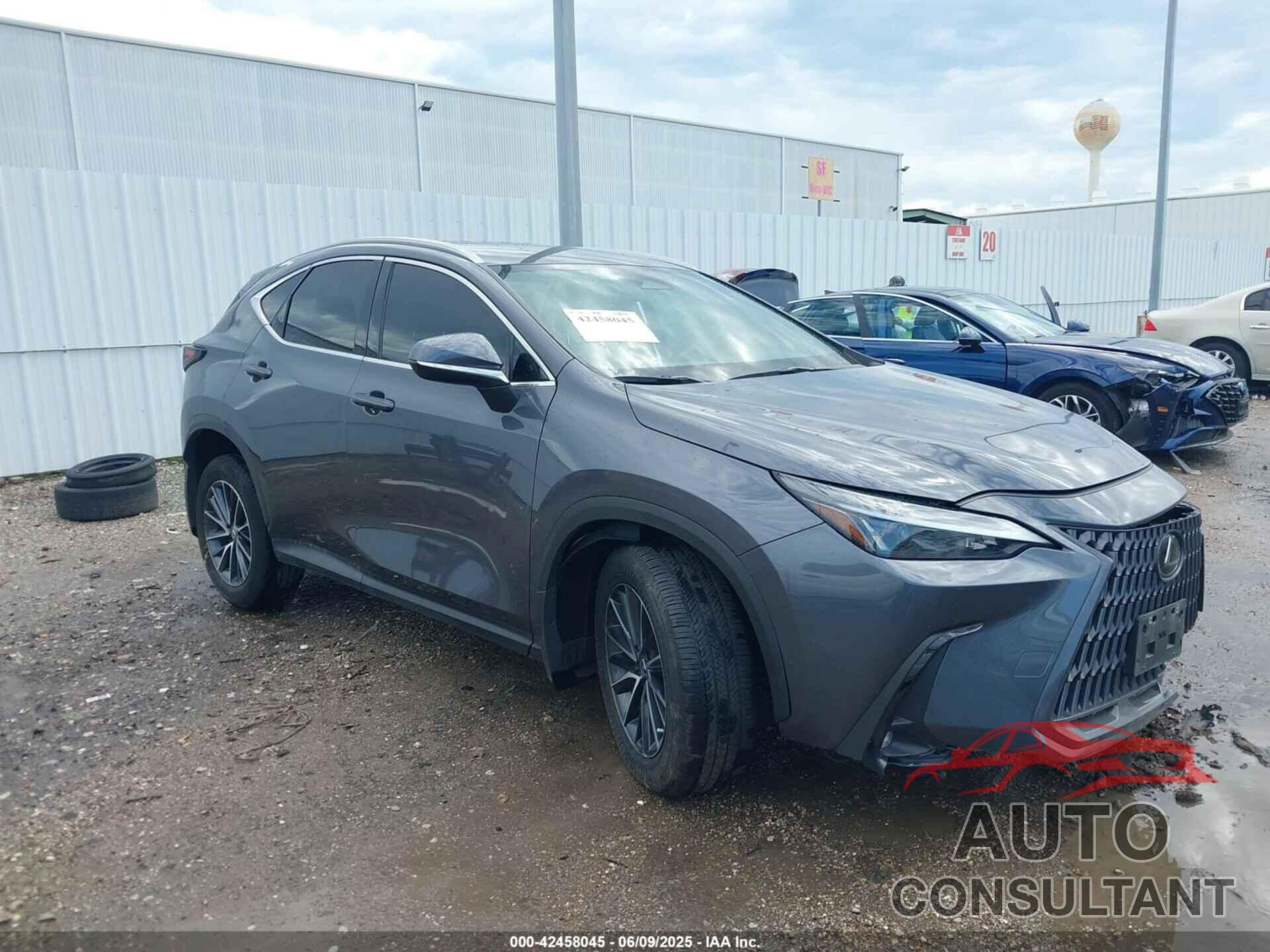 LEXUS NX 250 2024 - 2T2ADCAZ7RC009302