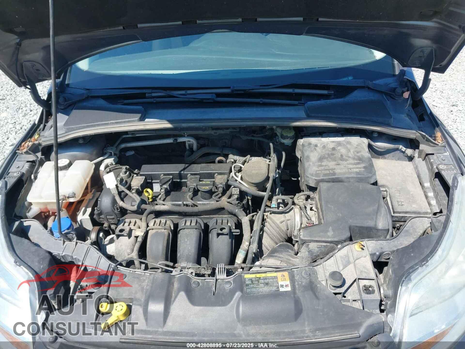 FORD FOCUS 2012 - 1FAHP3F27CL379273