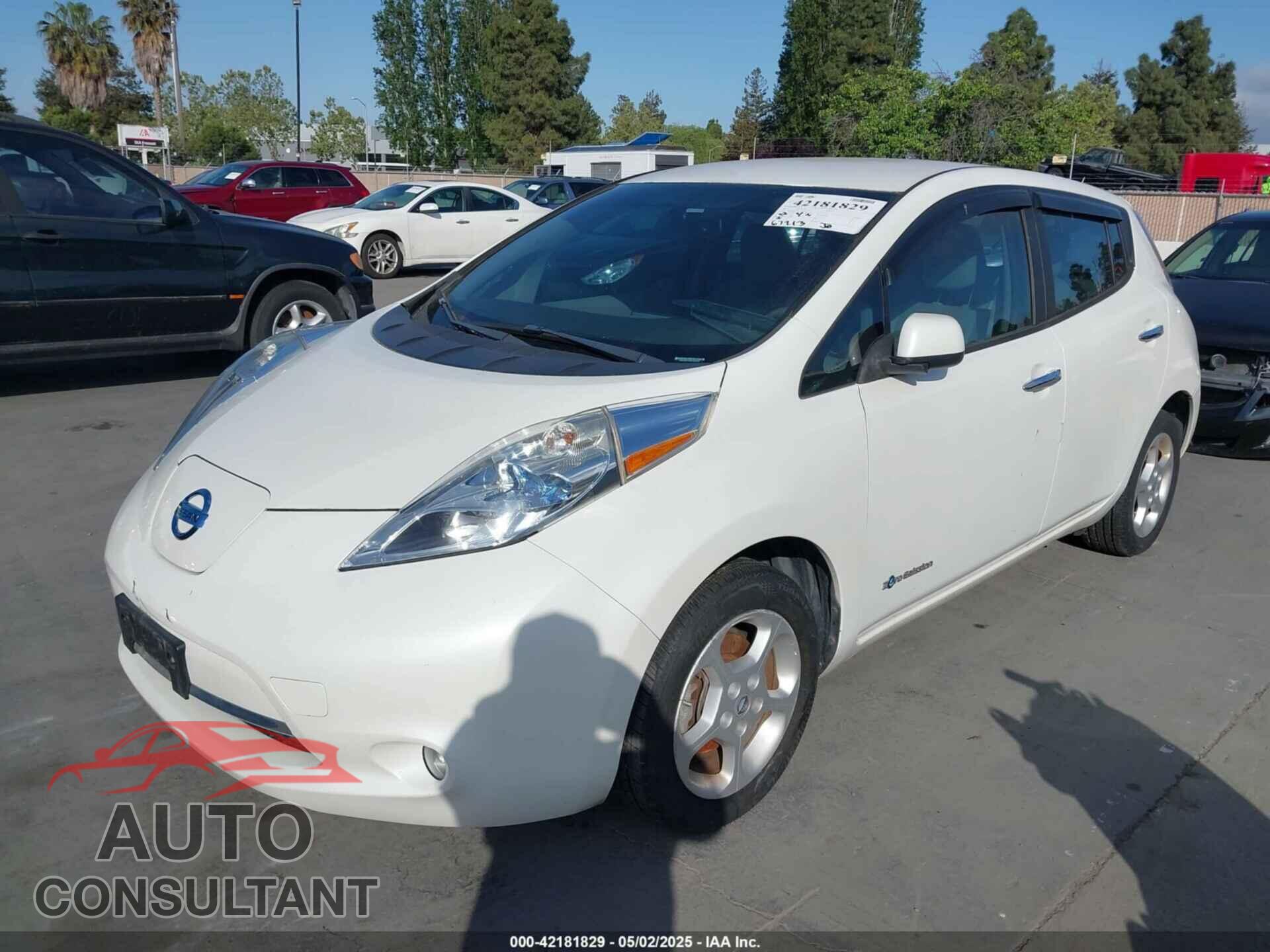 NISSAN LEAF 2013 - 1N4AZ0CP0DC406230