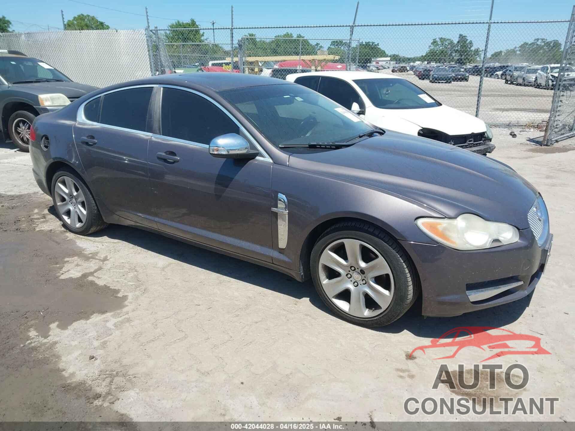 JAGUAR XF 2009 - SAJWA05B39HR10050