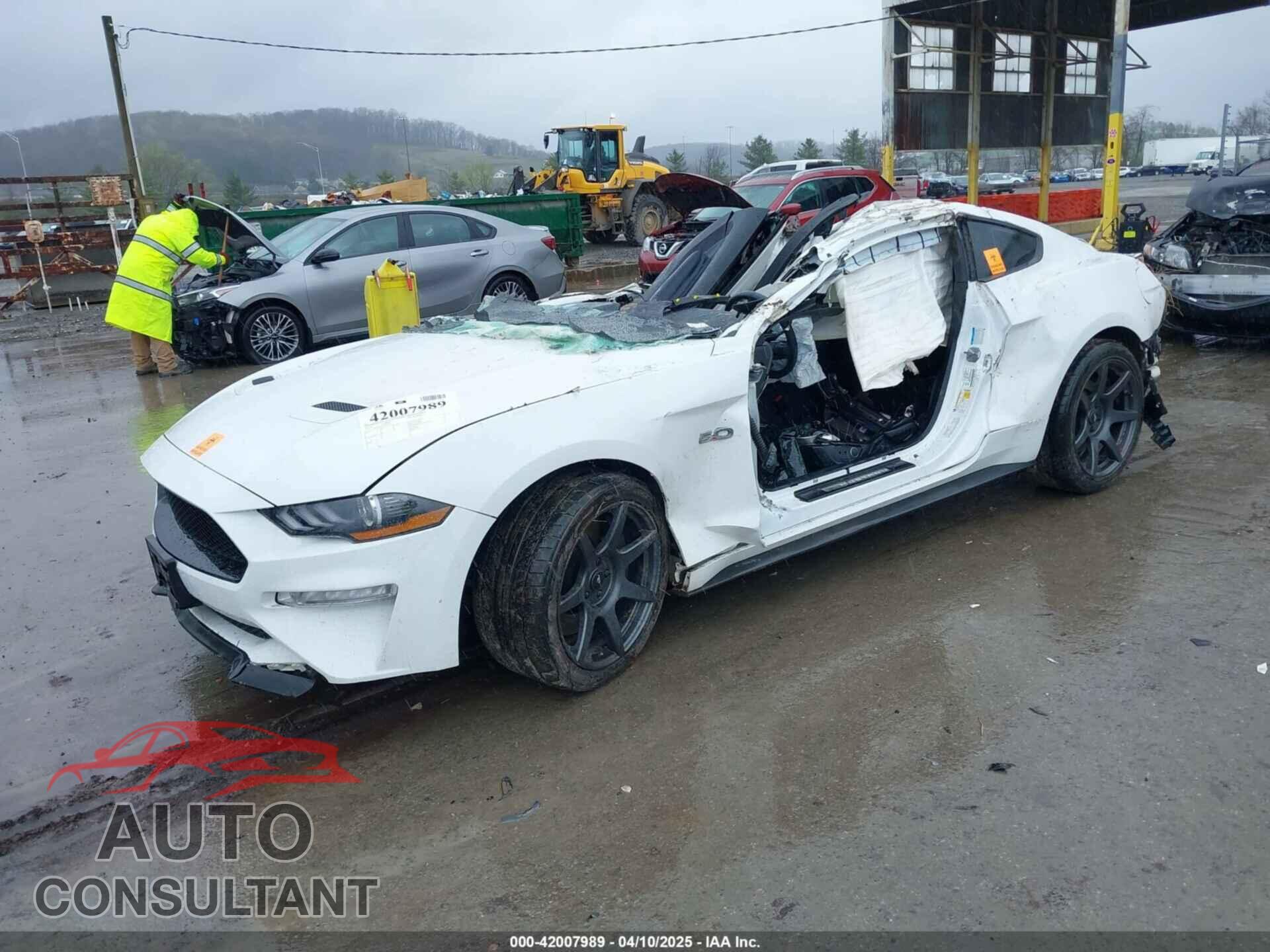 FORD MUSTANG 2019 - 1FA6P8CF2K5162910