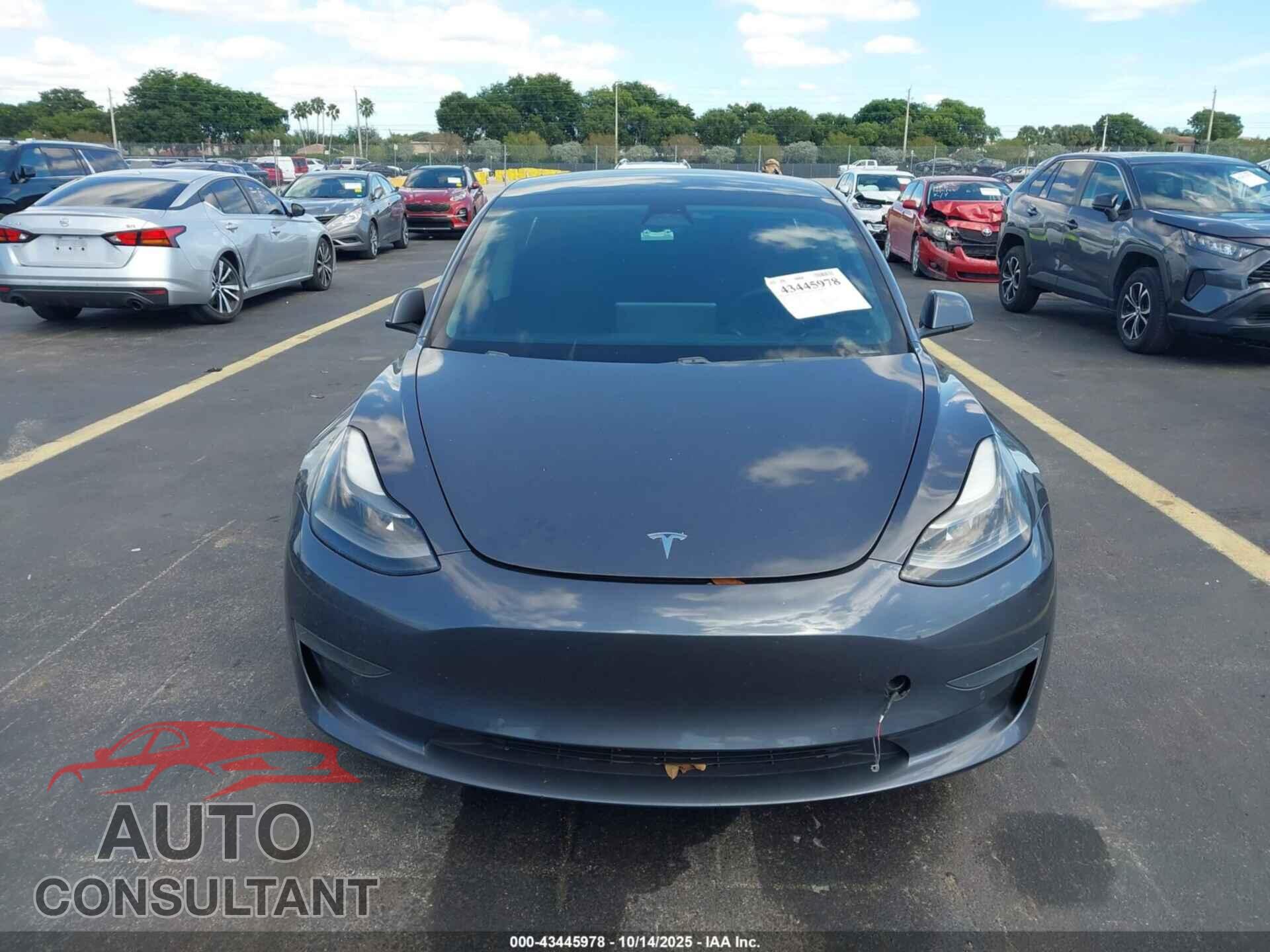 TESLA MODEL 3 2021 - 5YJ3E1EA1MF911452